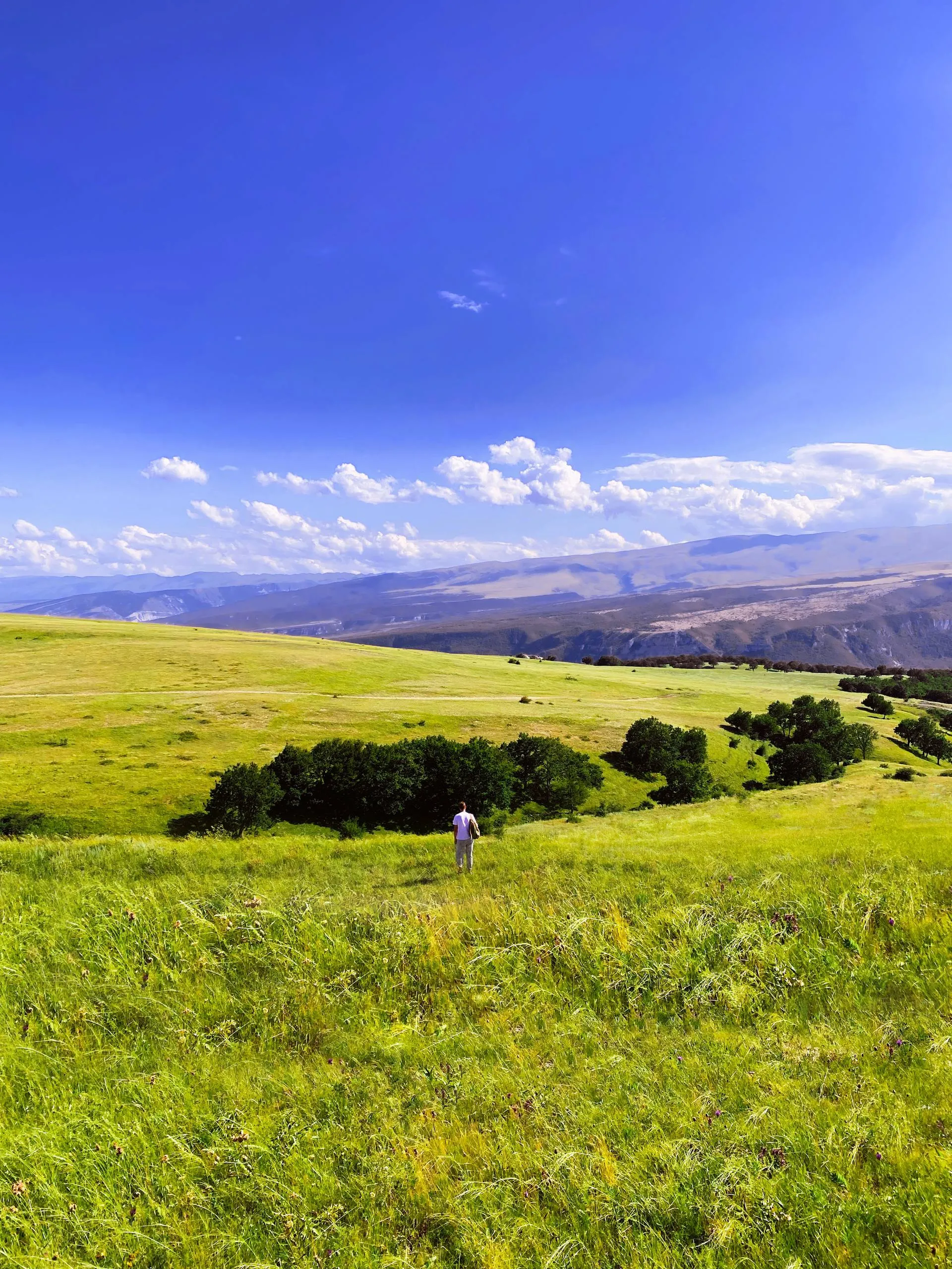 Опустошение