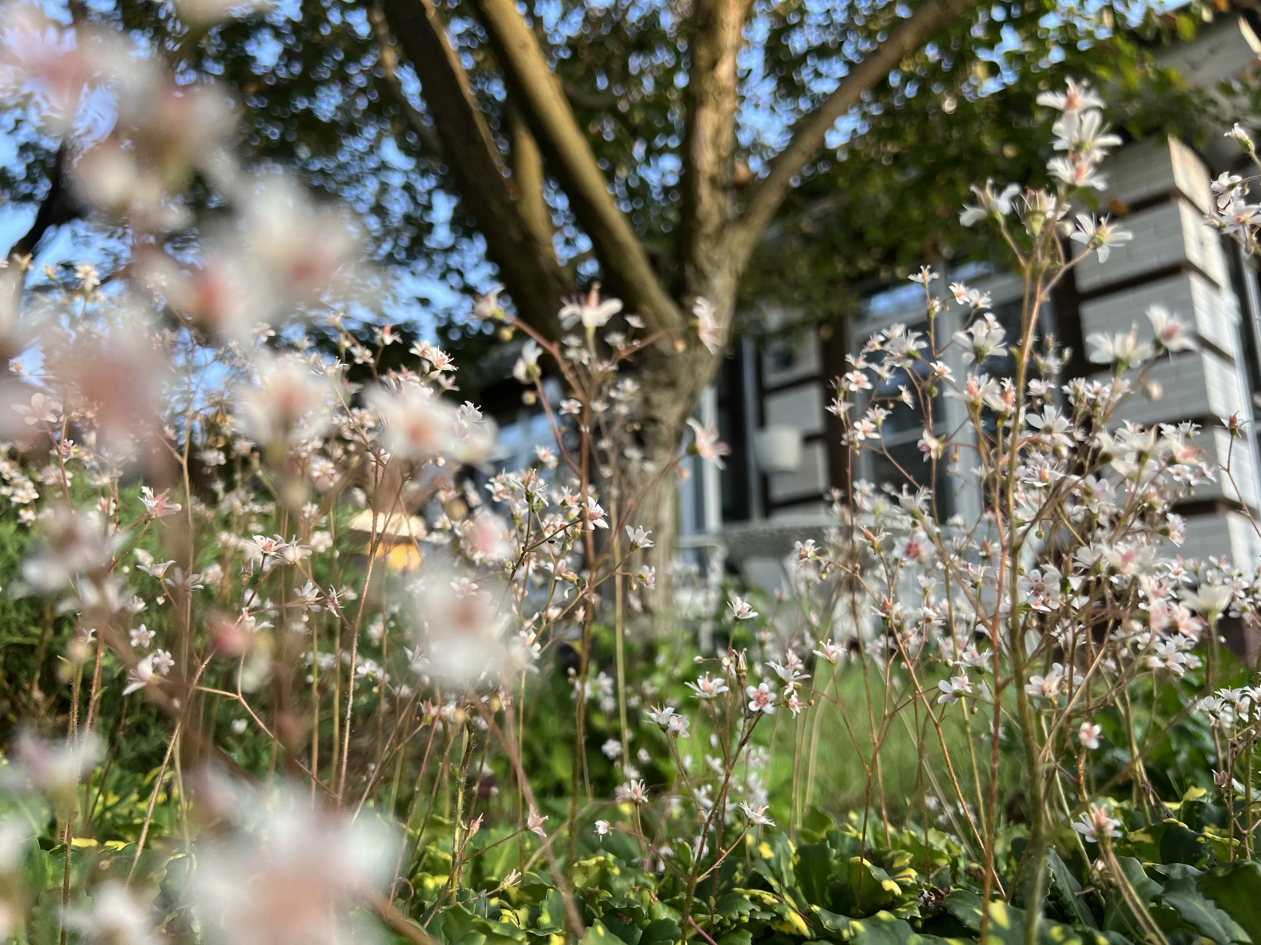 Дома хорошо