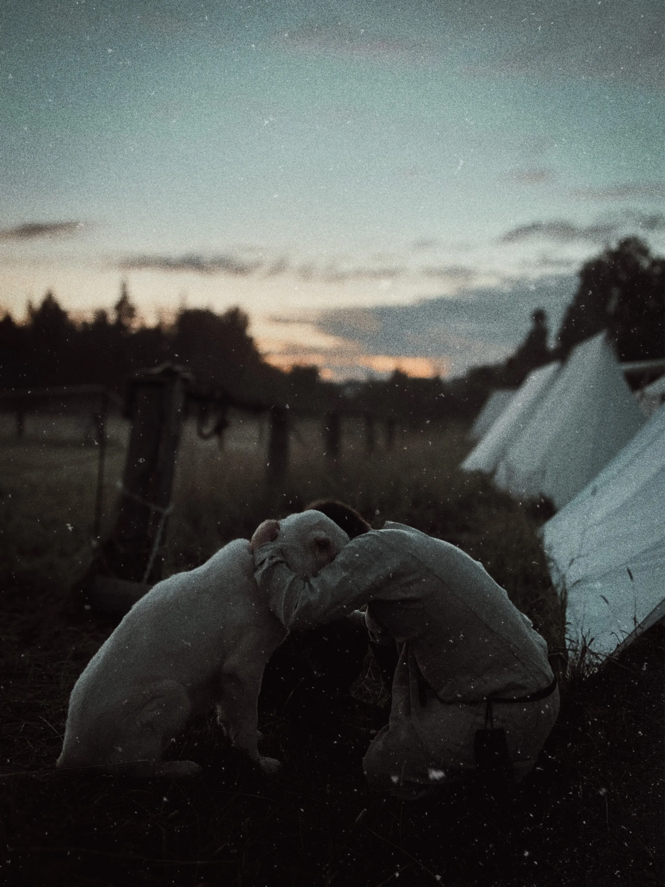 верные враги