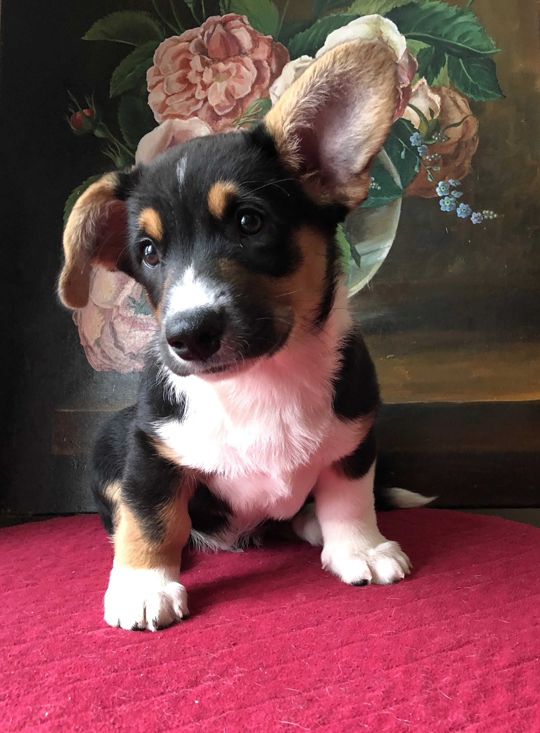 Все впереди