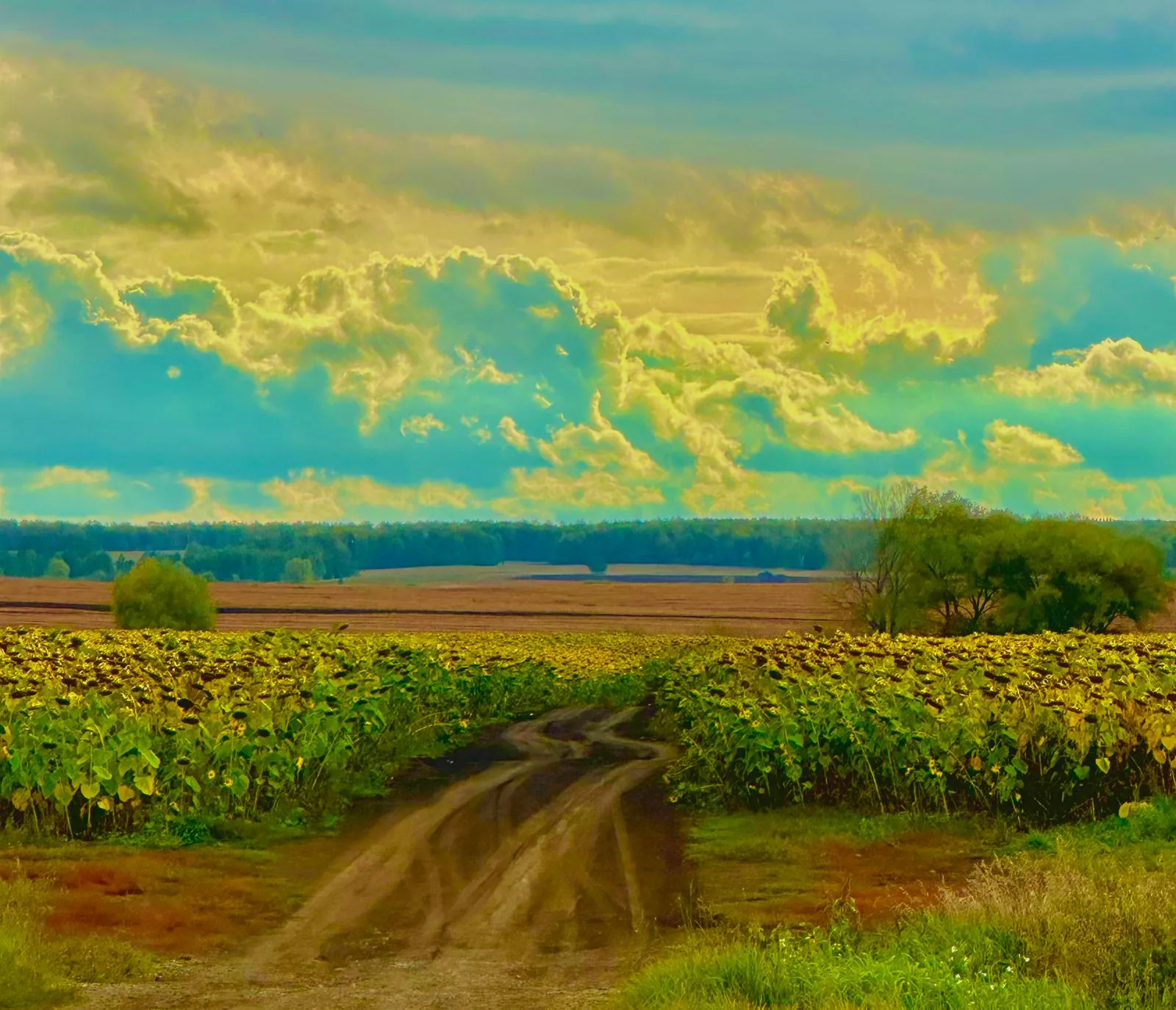 Дорога в детство.