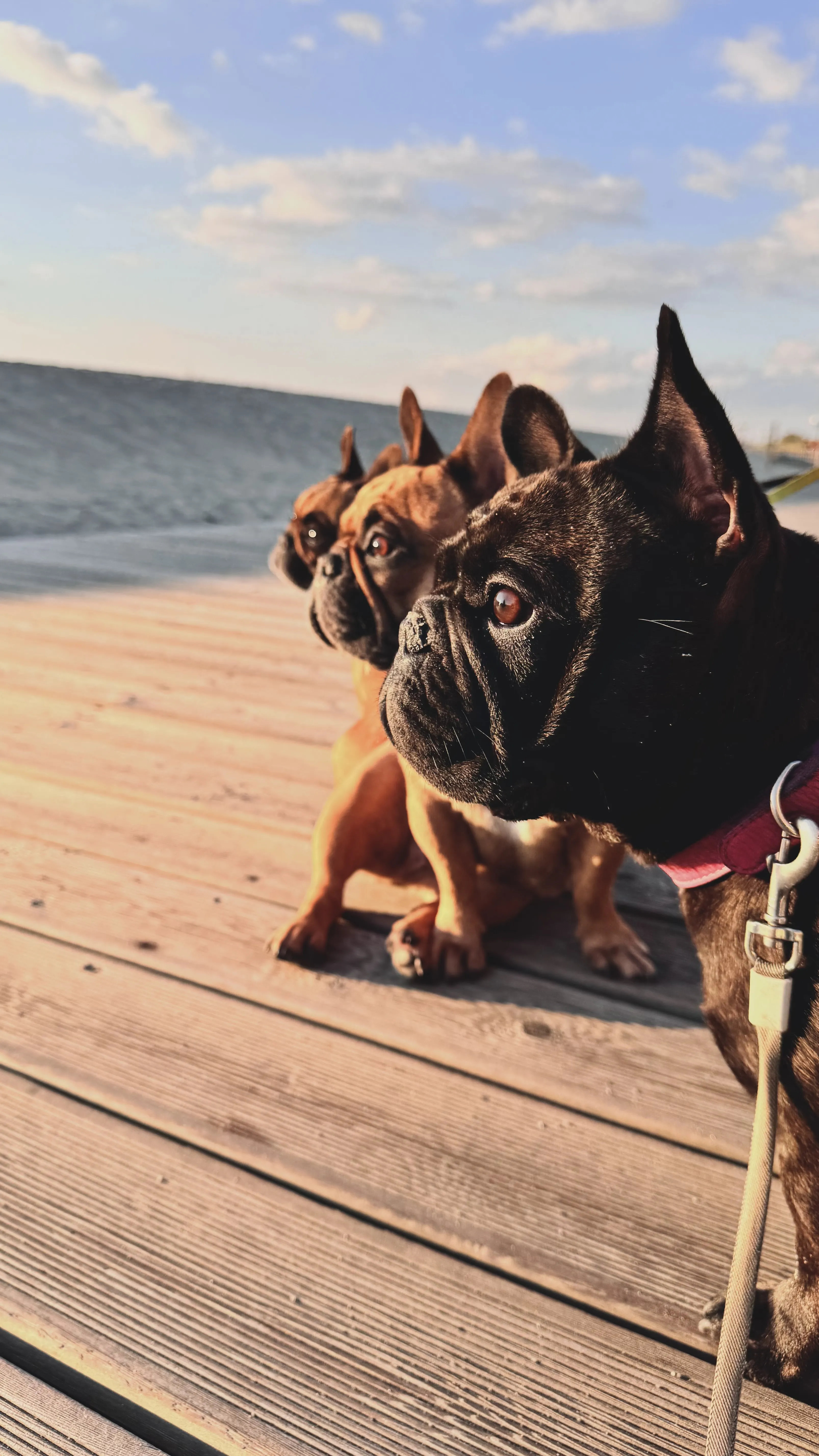 Три поколения