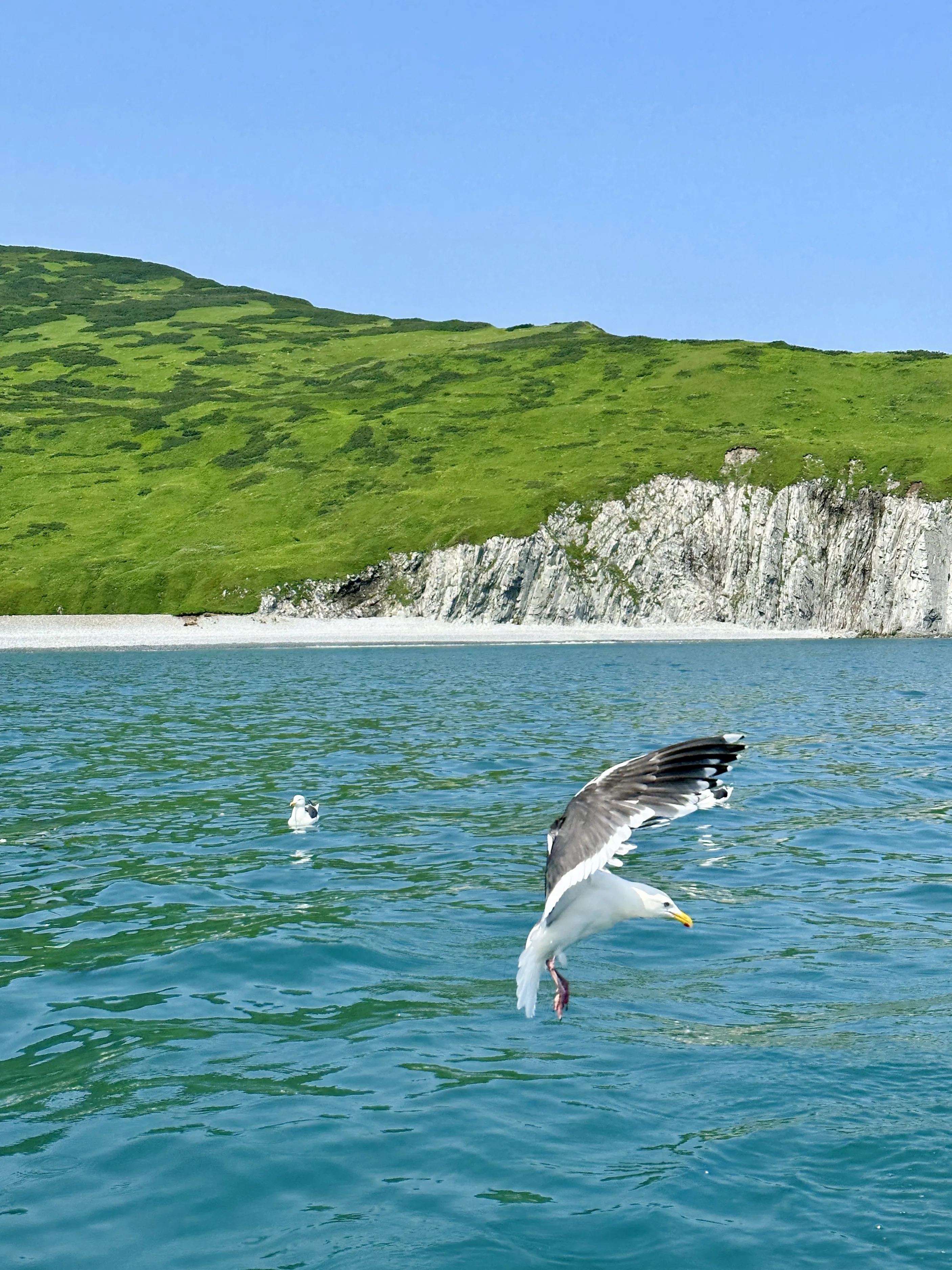 Охота в Тихом океане