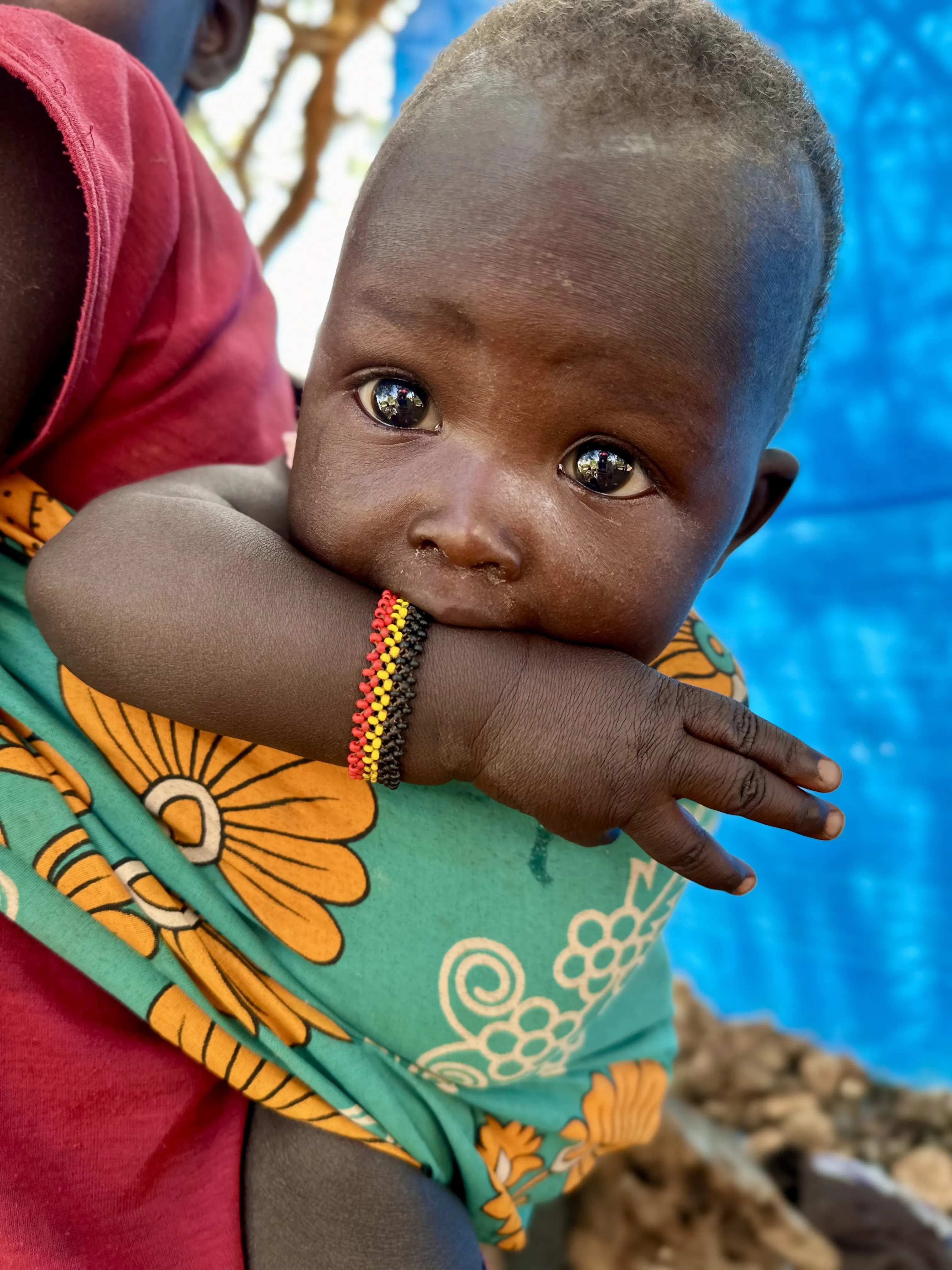 Весь этот мир