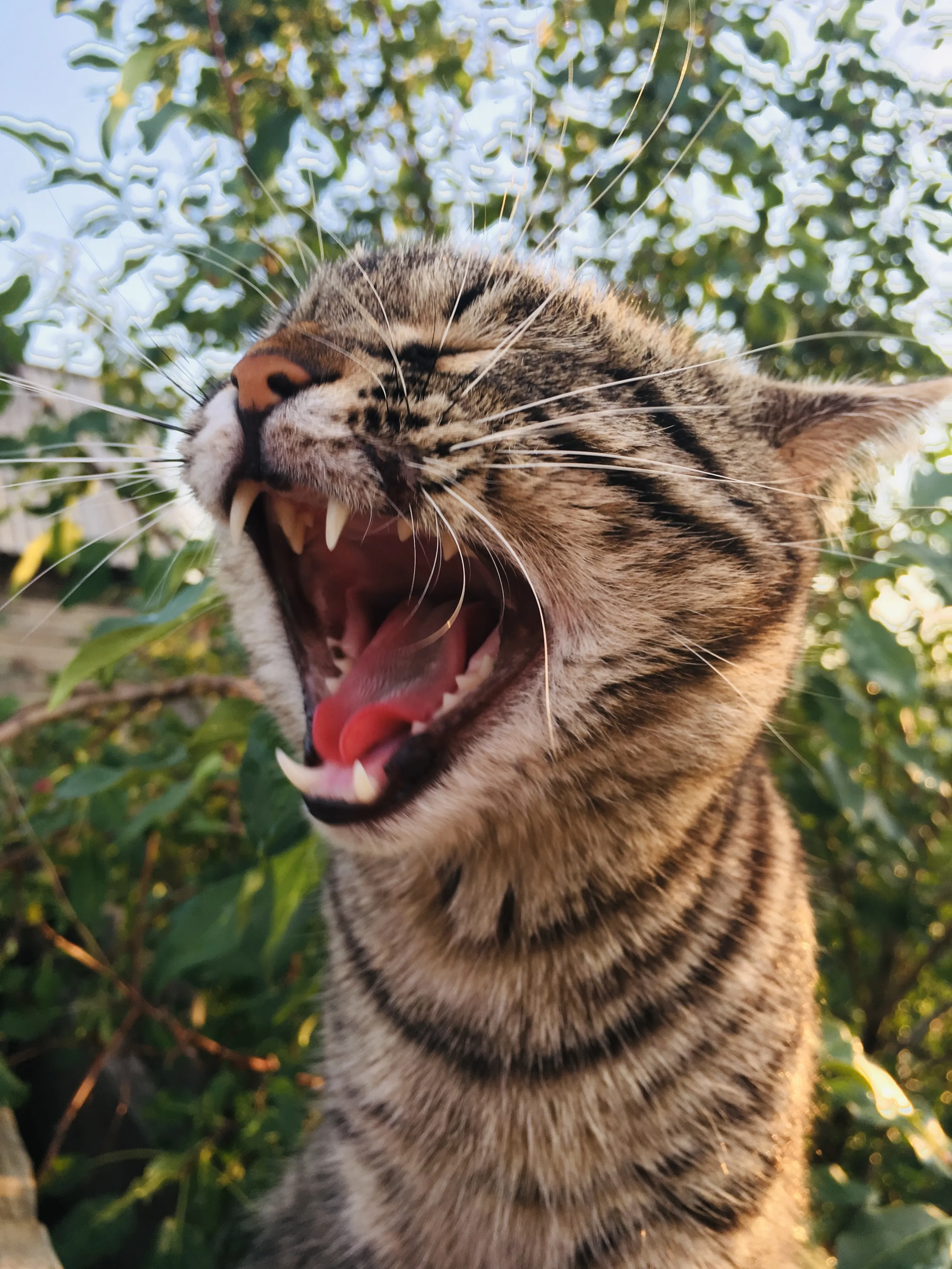 Минутная слабость