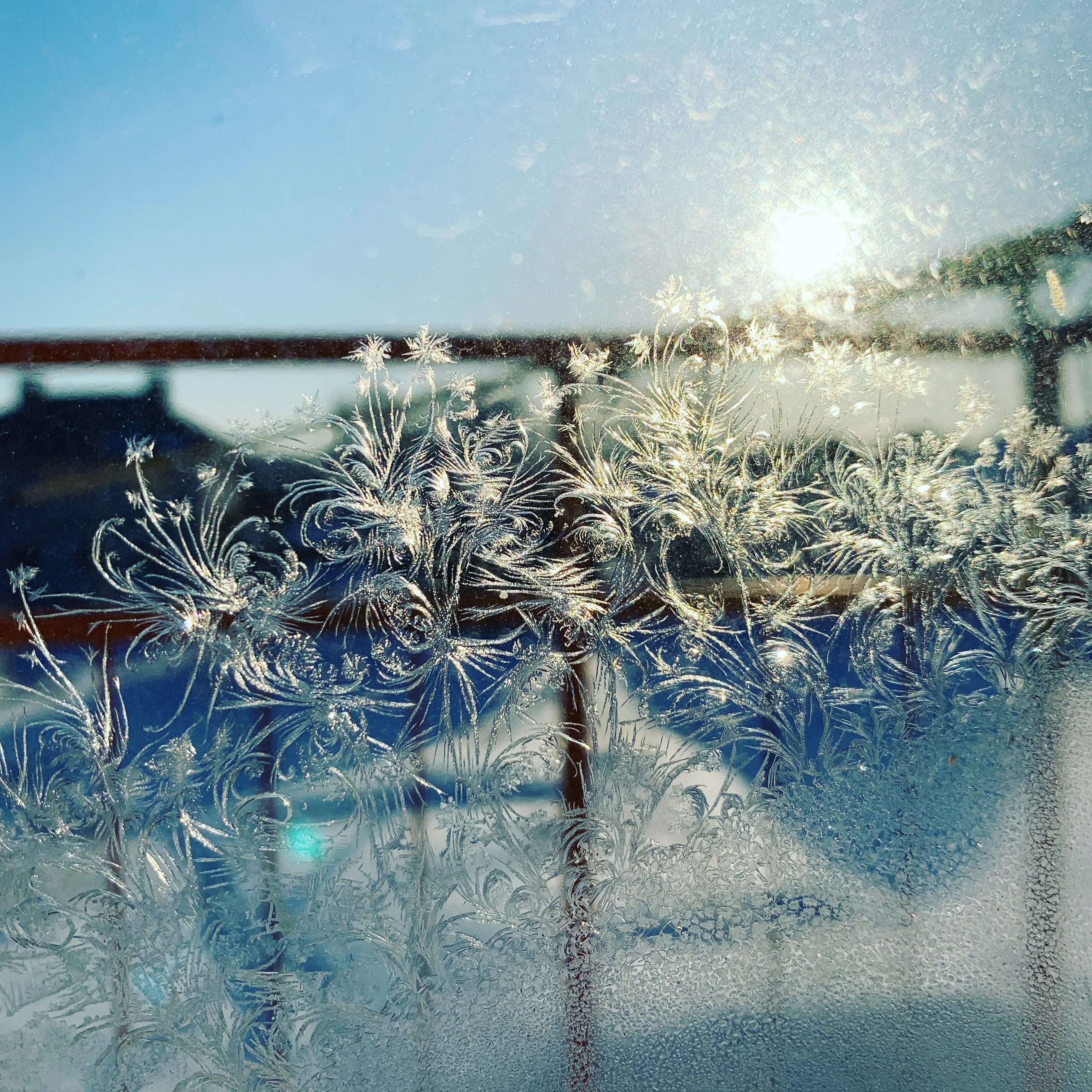 Морозное утро