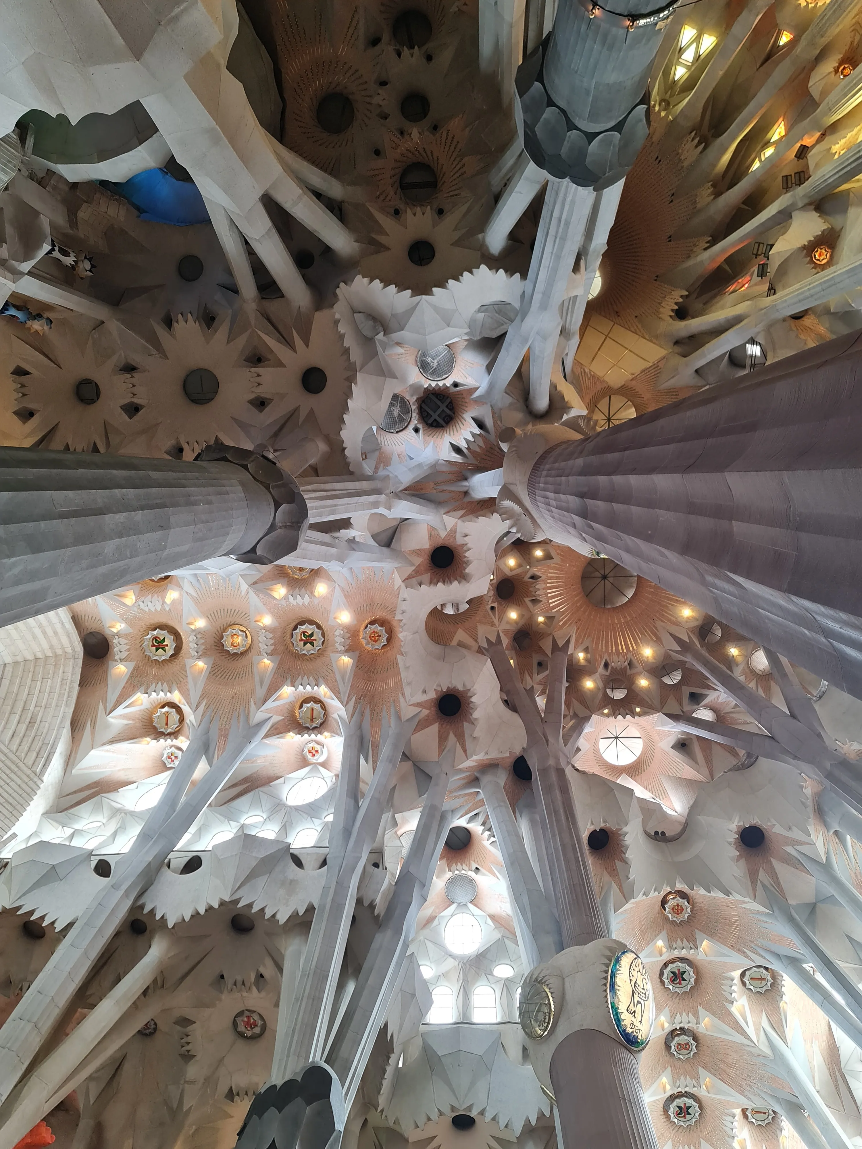 Природа в формах