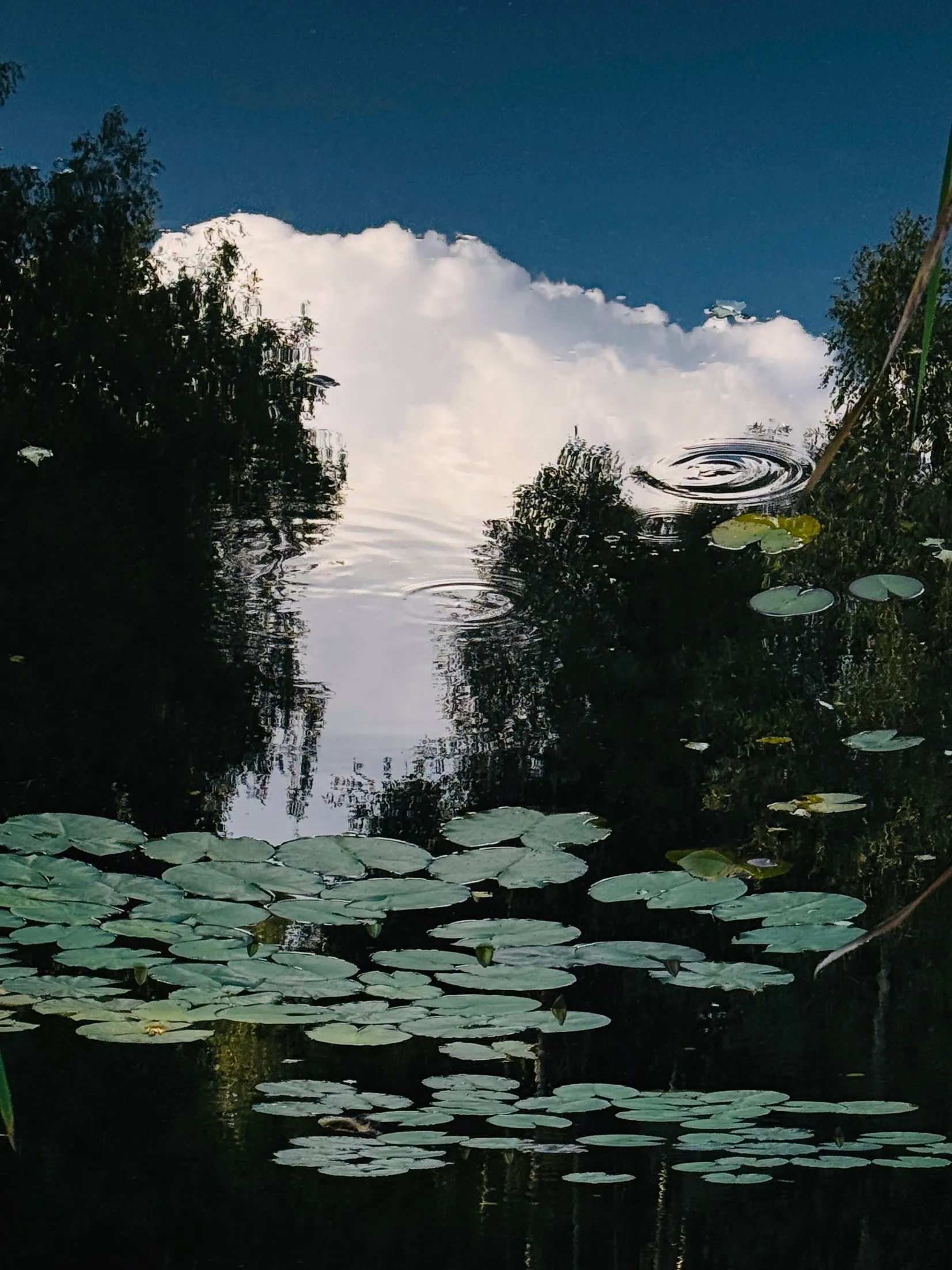 Геолокация