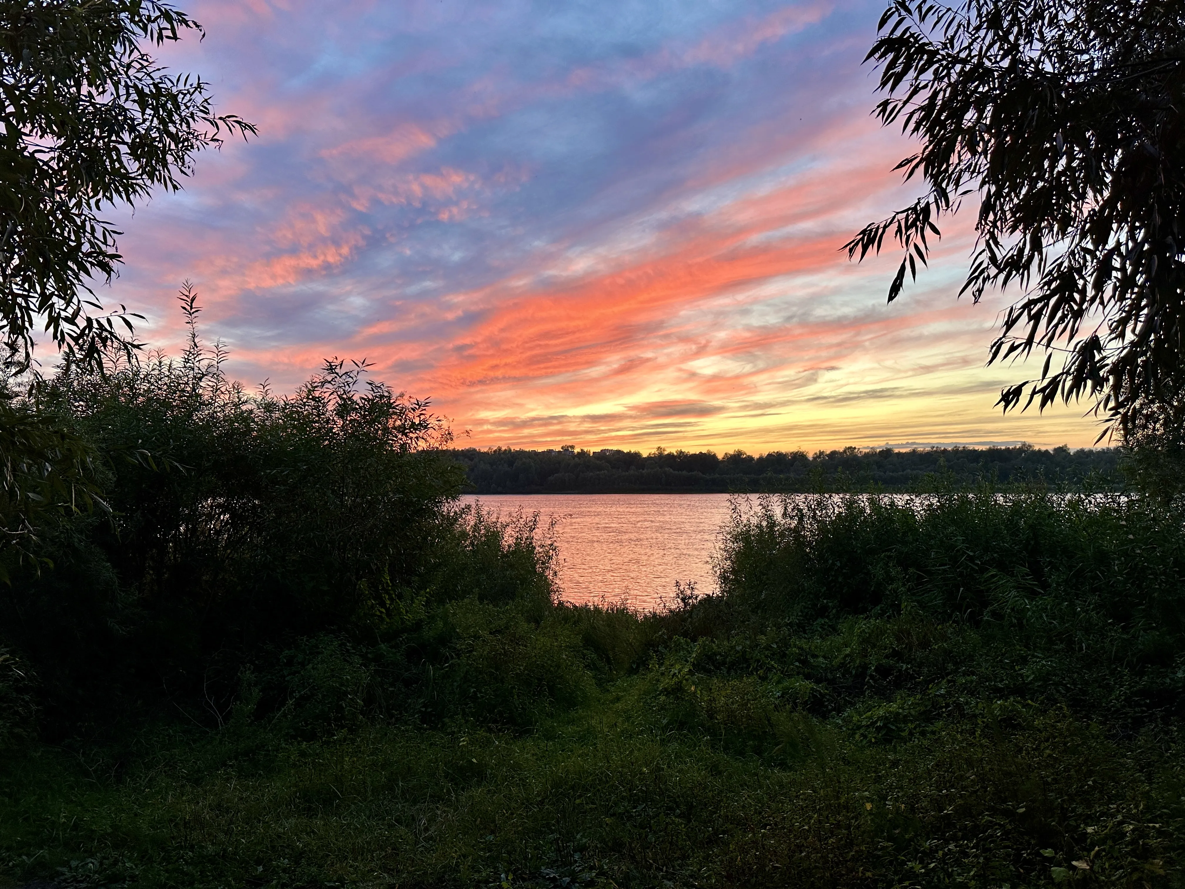 Мгновенья природы