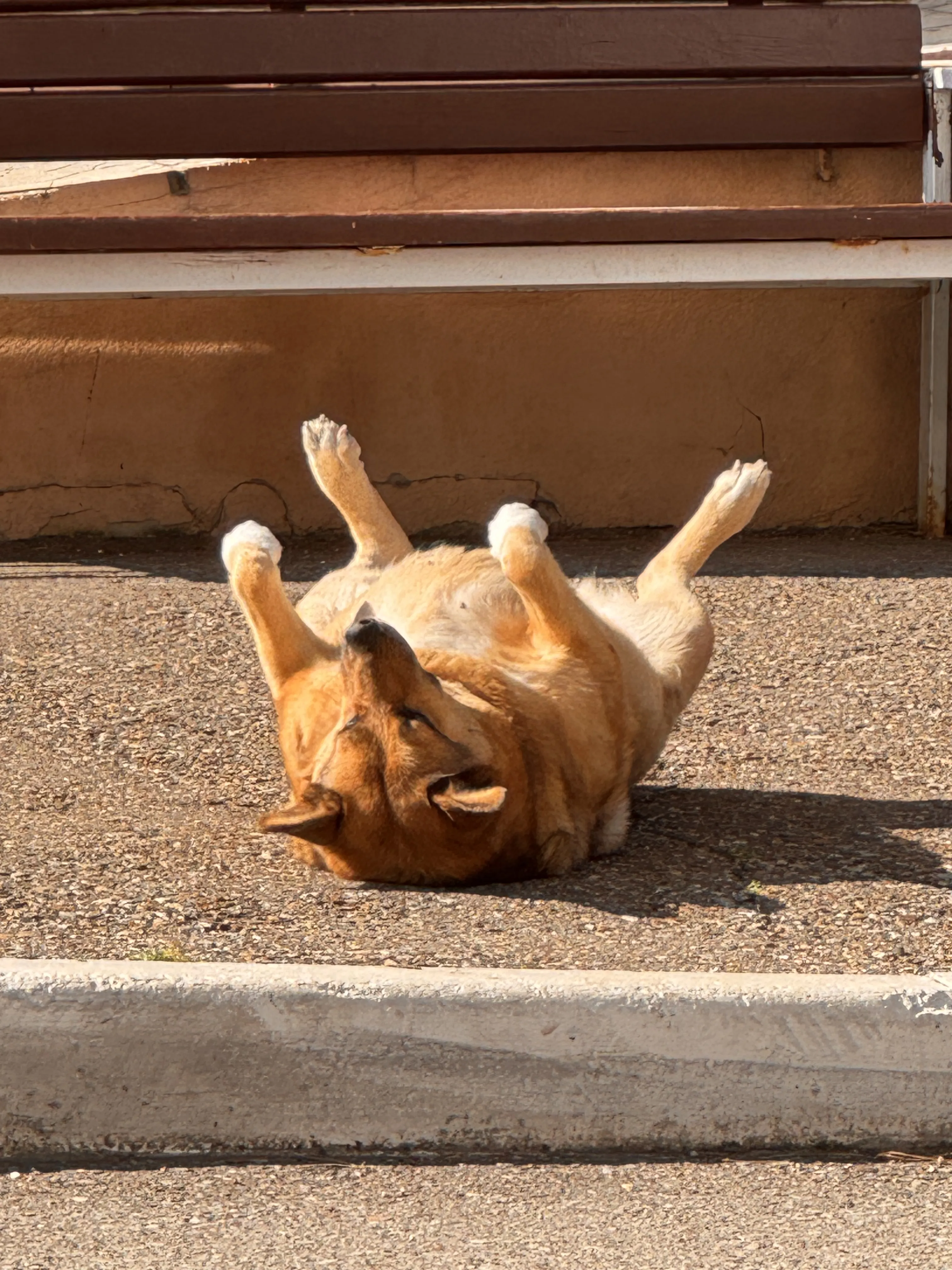 Солнца много не бывает