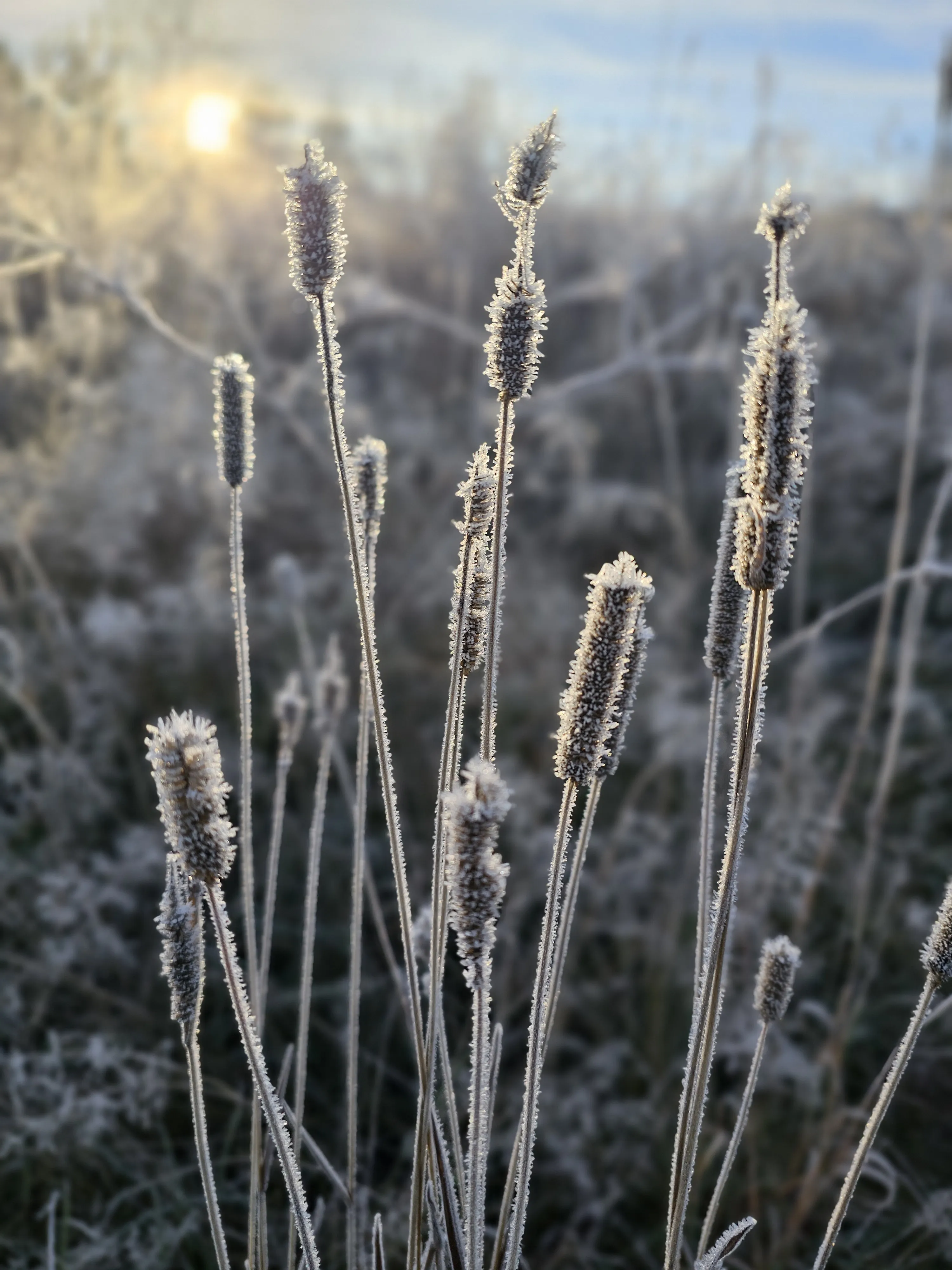 우리는 너무 많이 생각하고, 너무 적게 느낀다