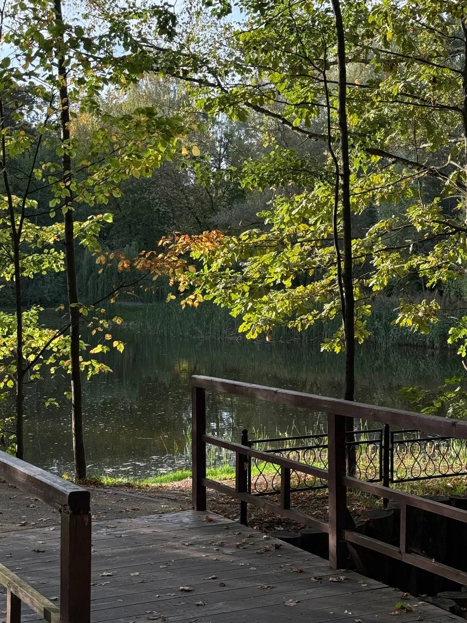 Душевное спокойствие