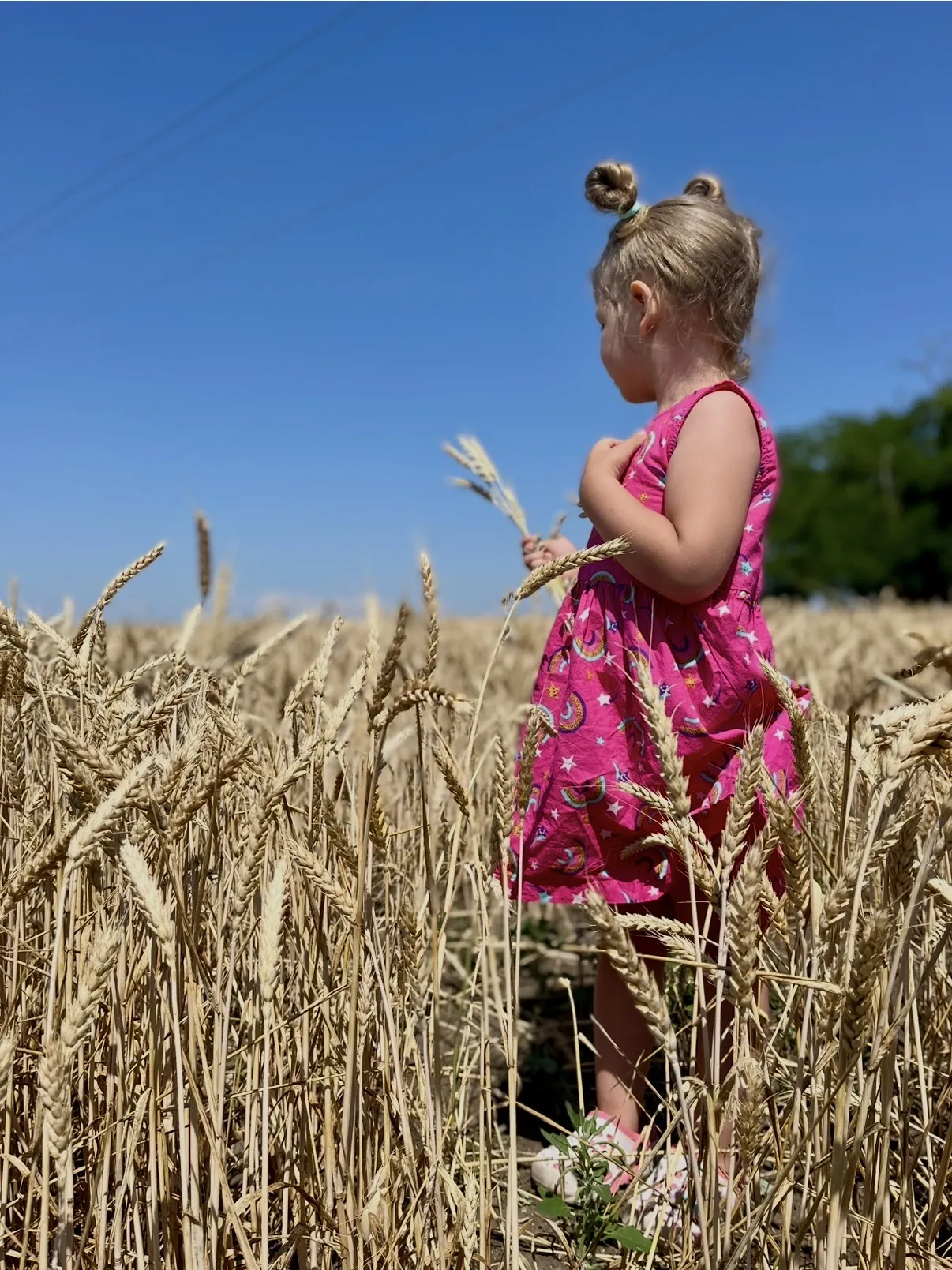 Русское поле