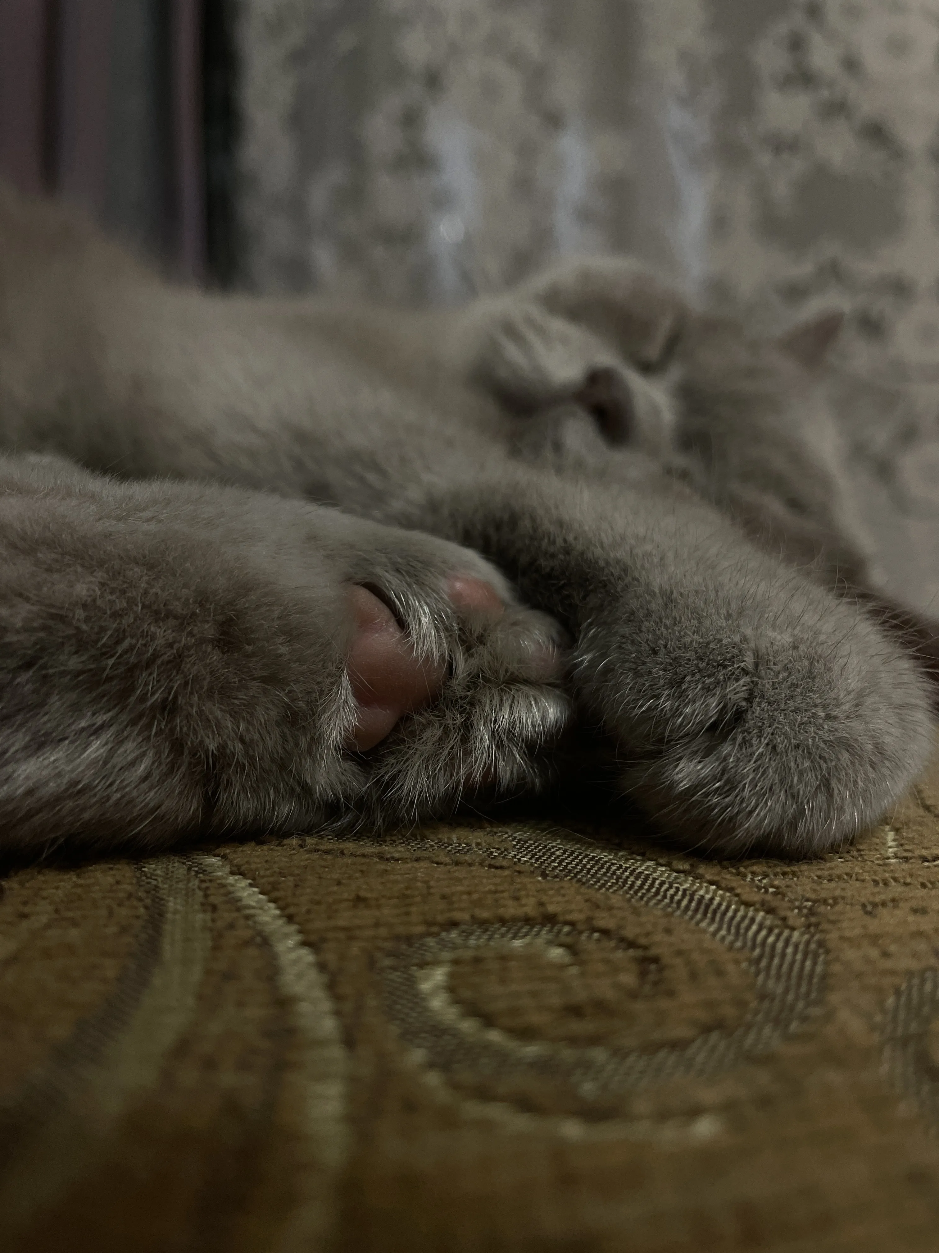 Люблю спать