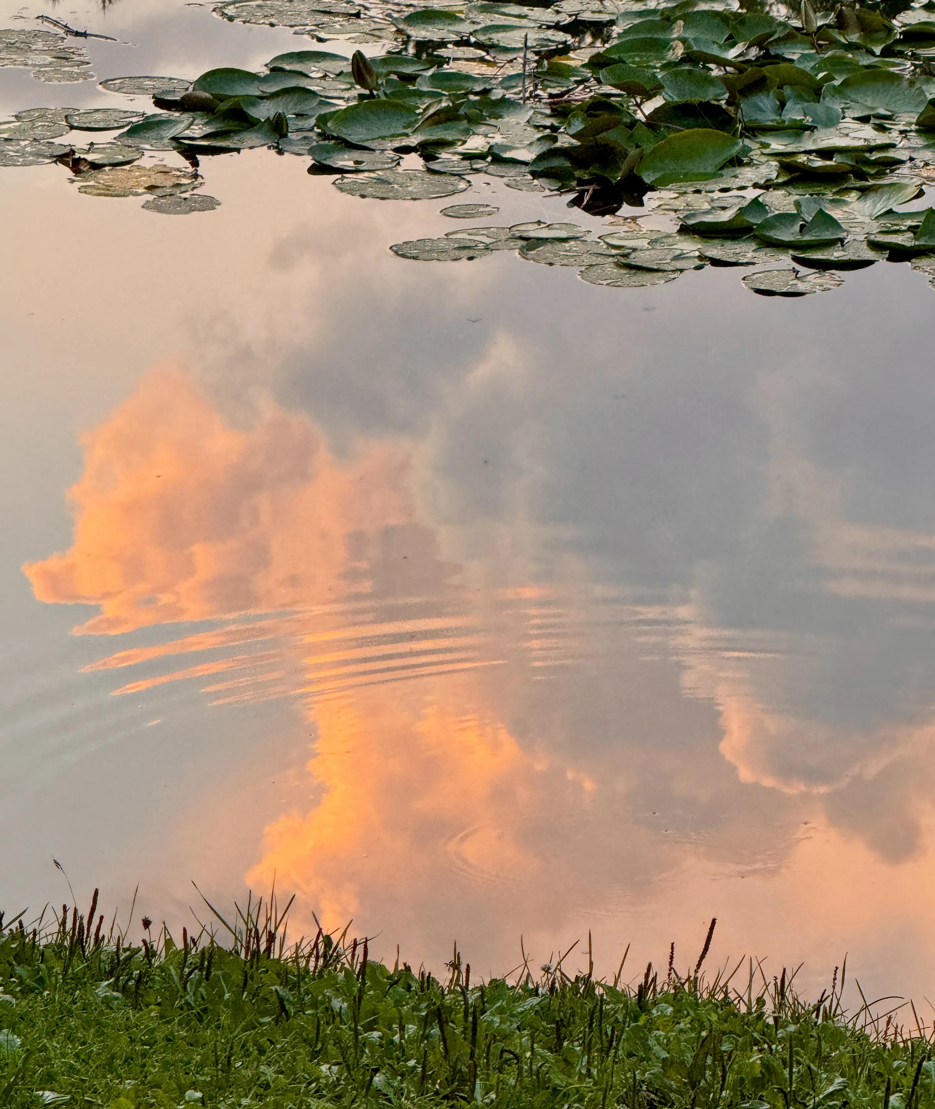 Закат после дождя