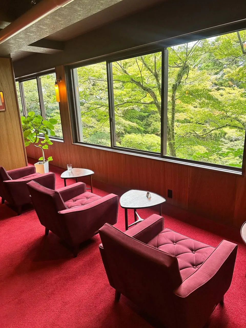 Сеанс фотосинтеза