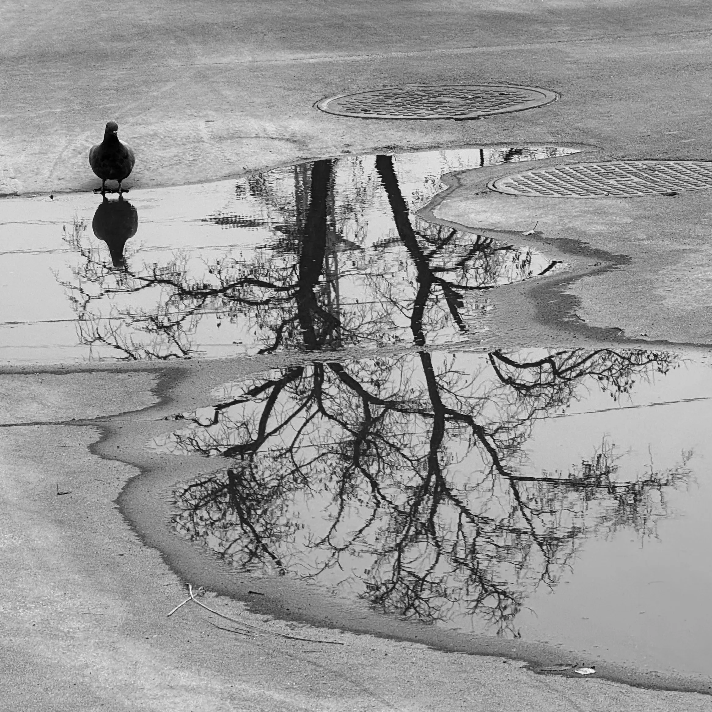 На берегу Рио-Пьедра…