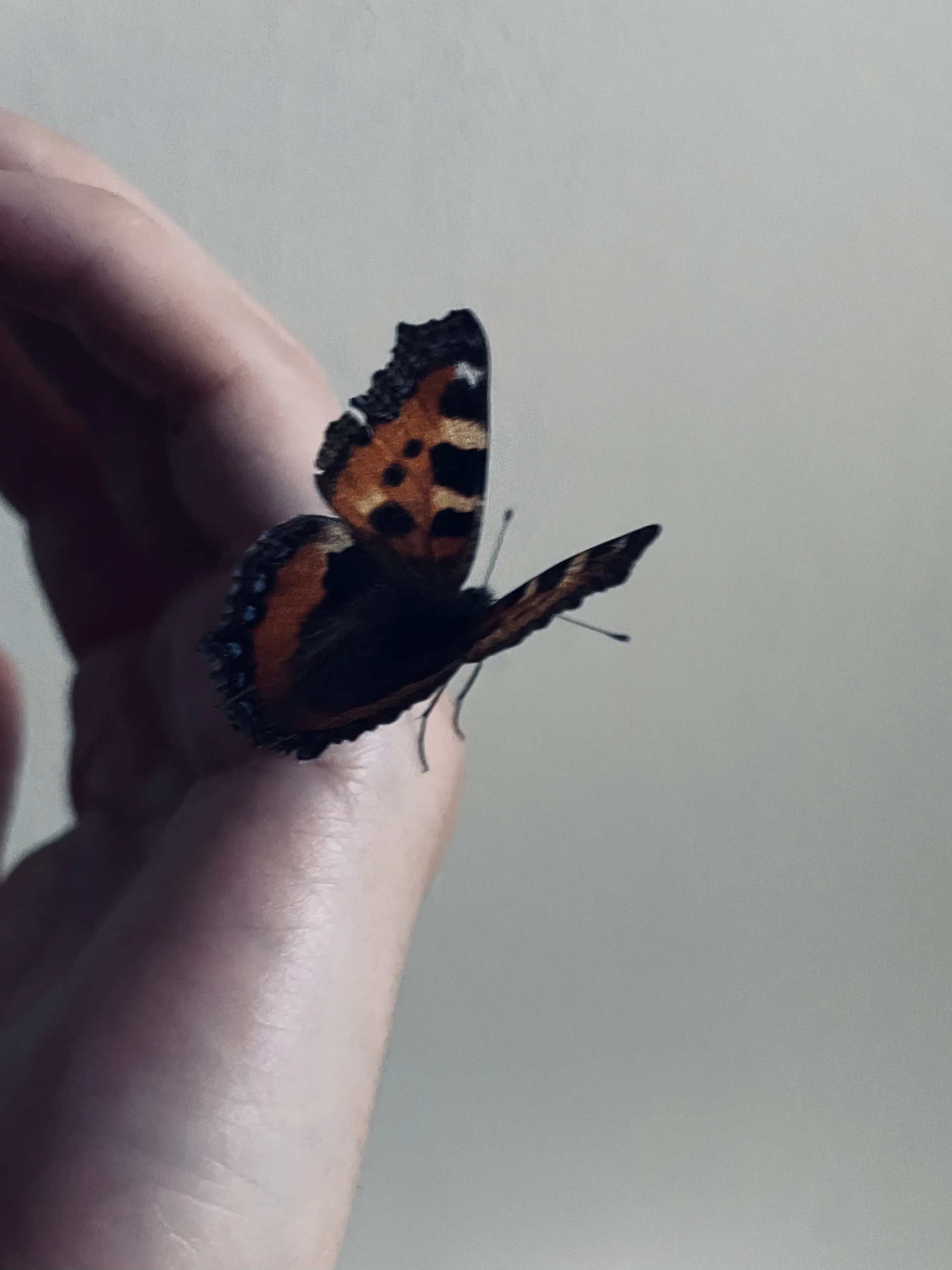 Последний день лета