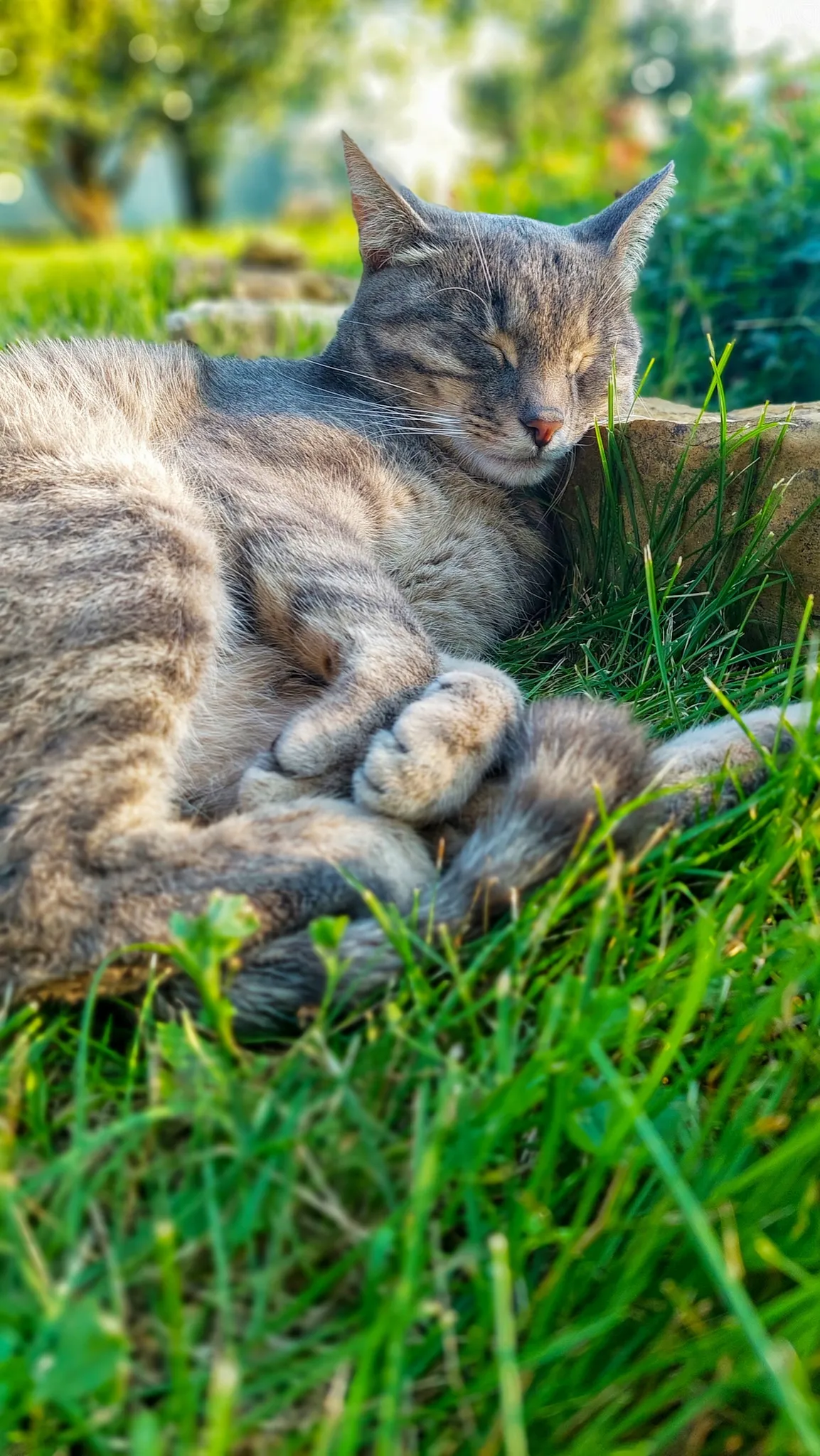 Безмятежность