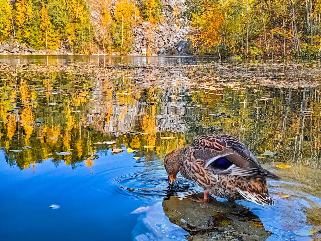 Осень в Рускеала