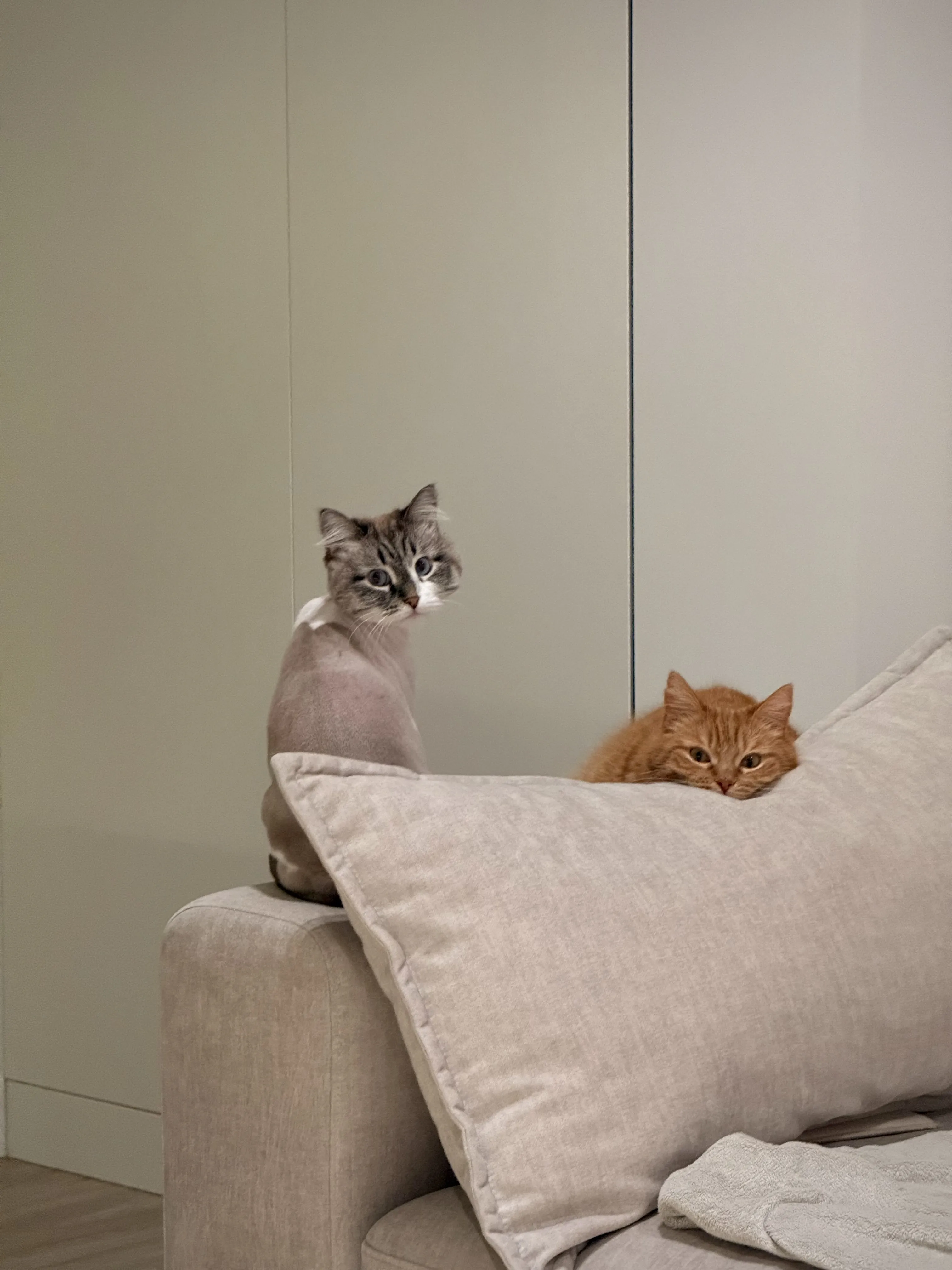 Опять уходите?