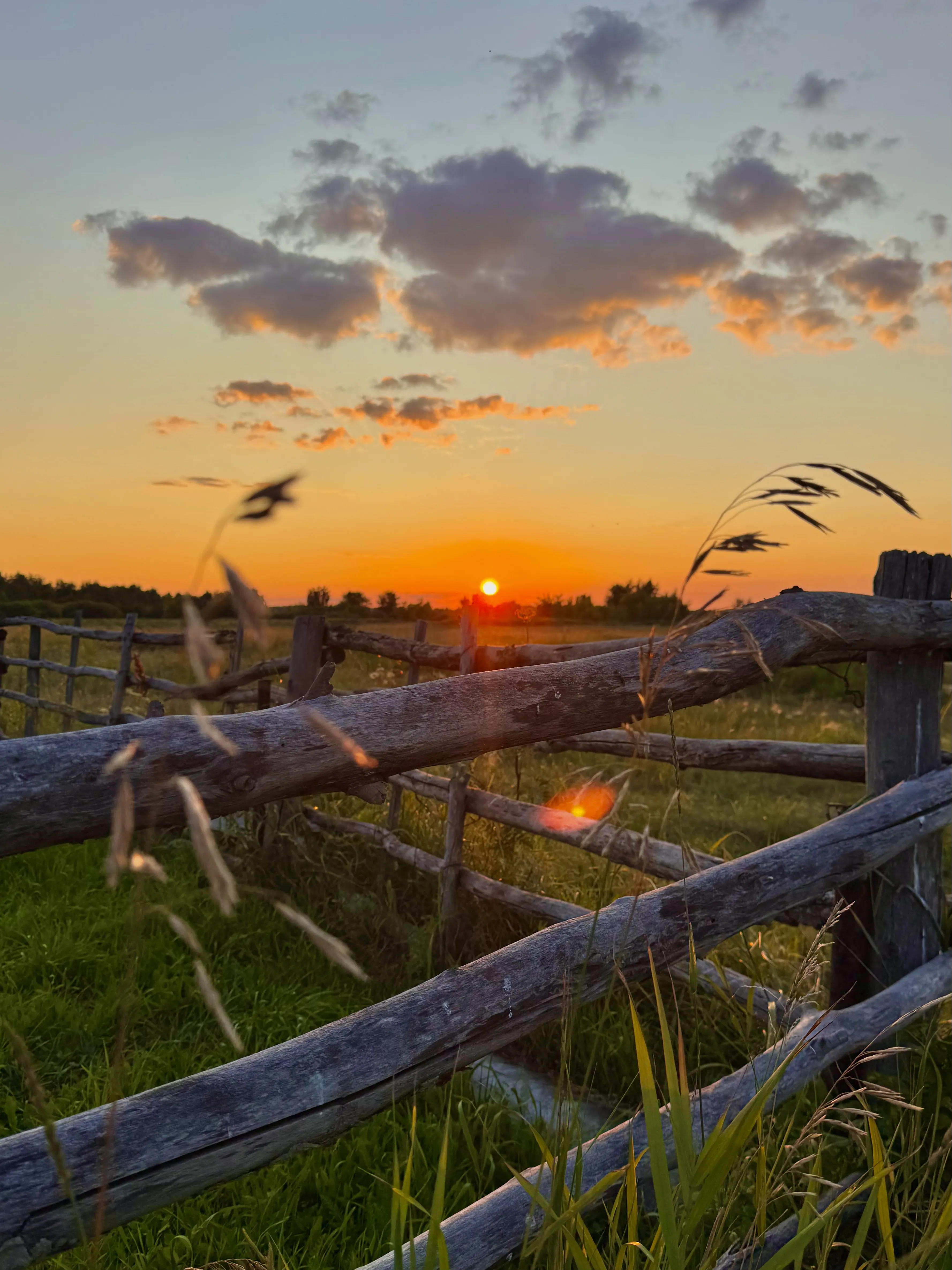 Летний вечер