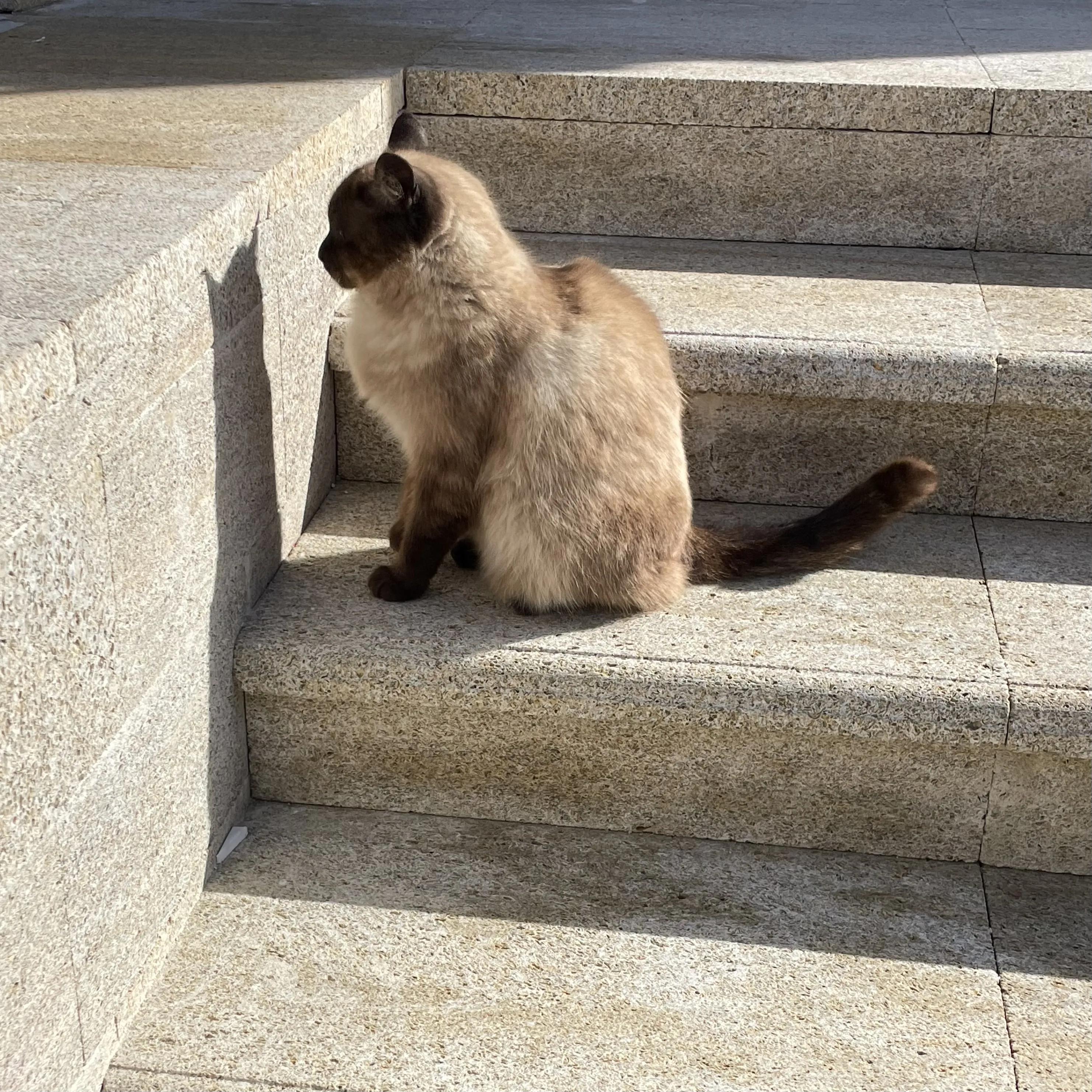 В поисках выхода из Матрицы