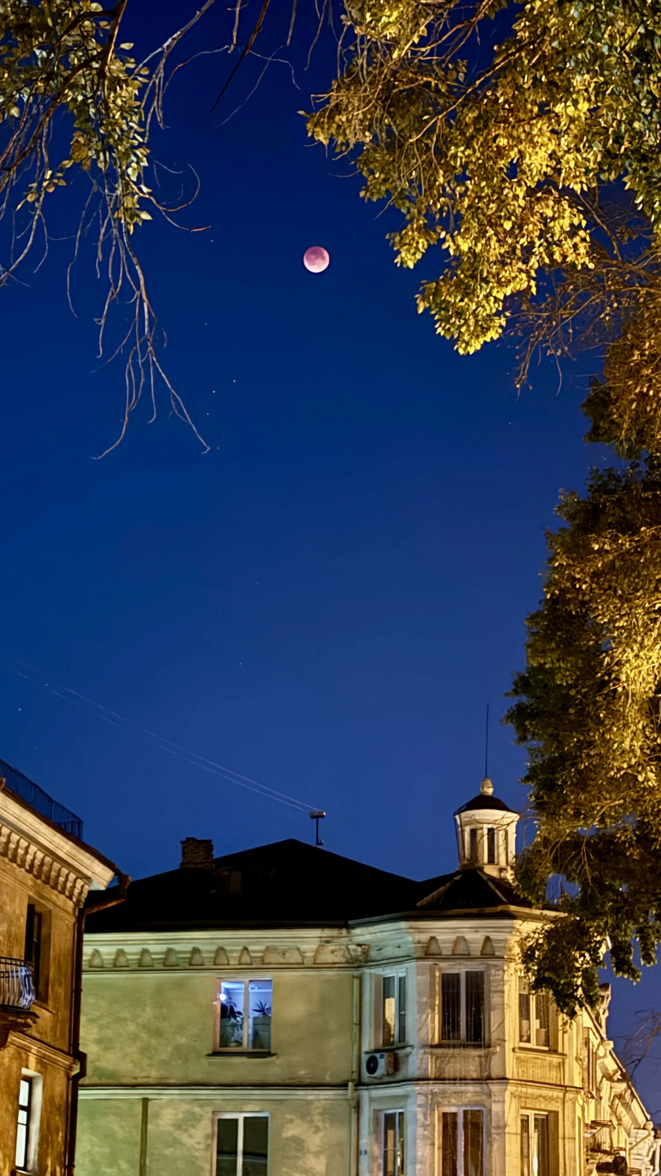 Звездное небо