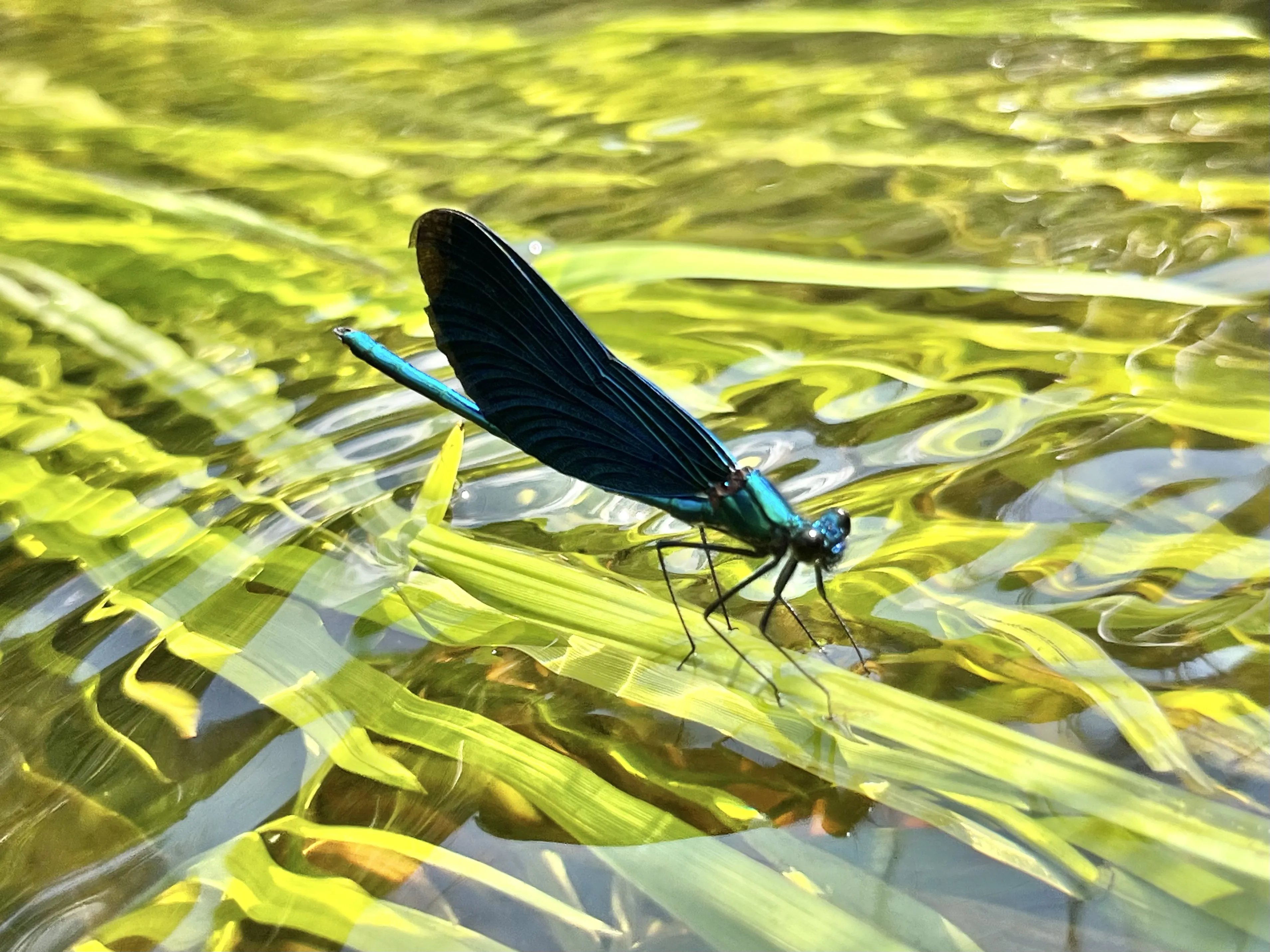 только здесь и сейчас