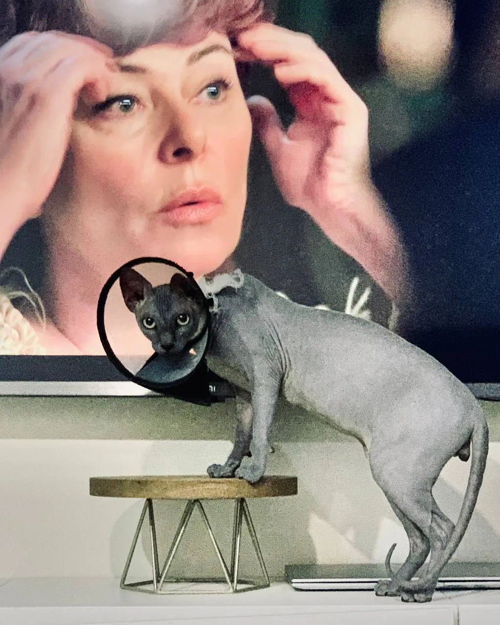 «Наташа, мы все уронили!»