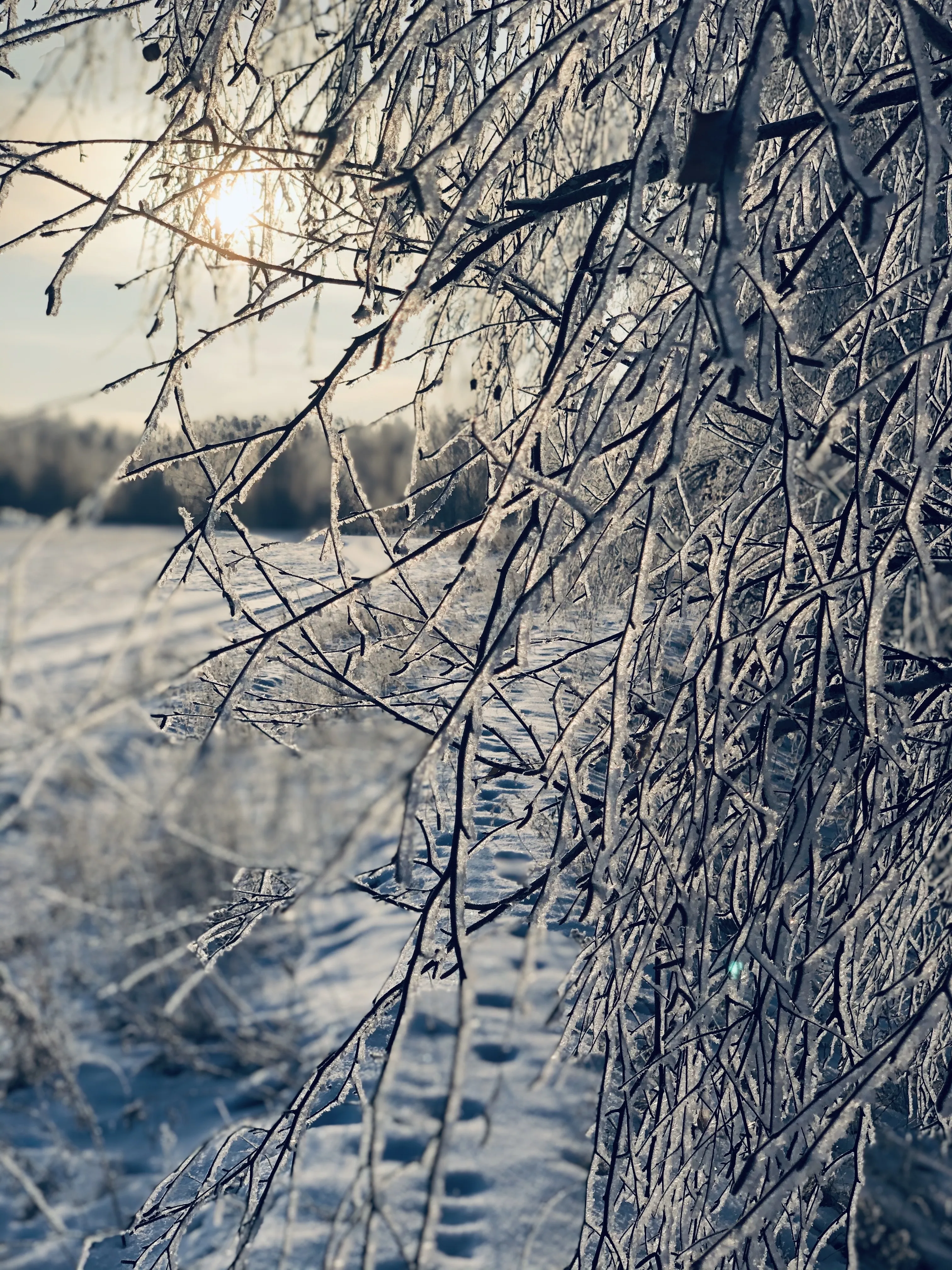 Хрустальная тишина