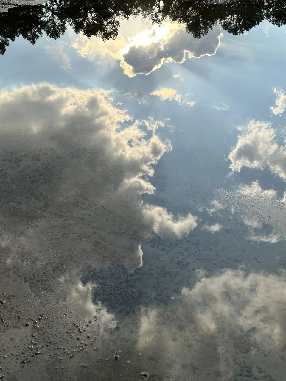 Мир в отражении