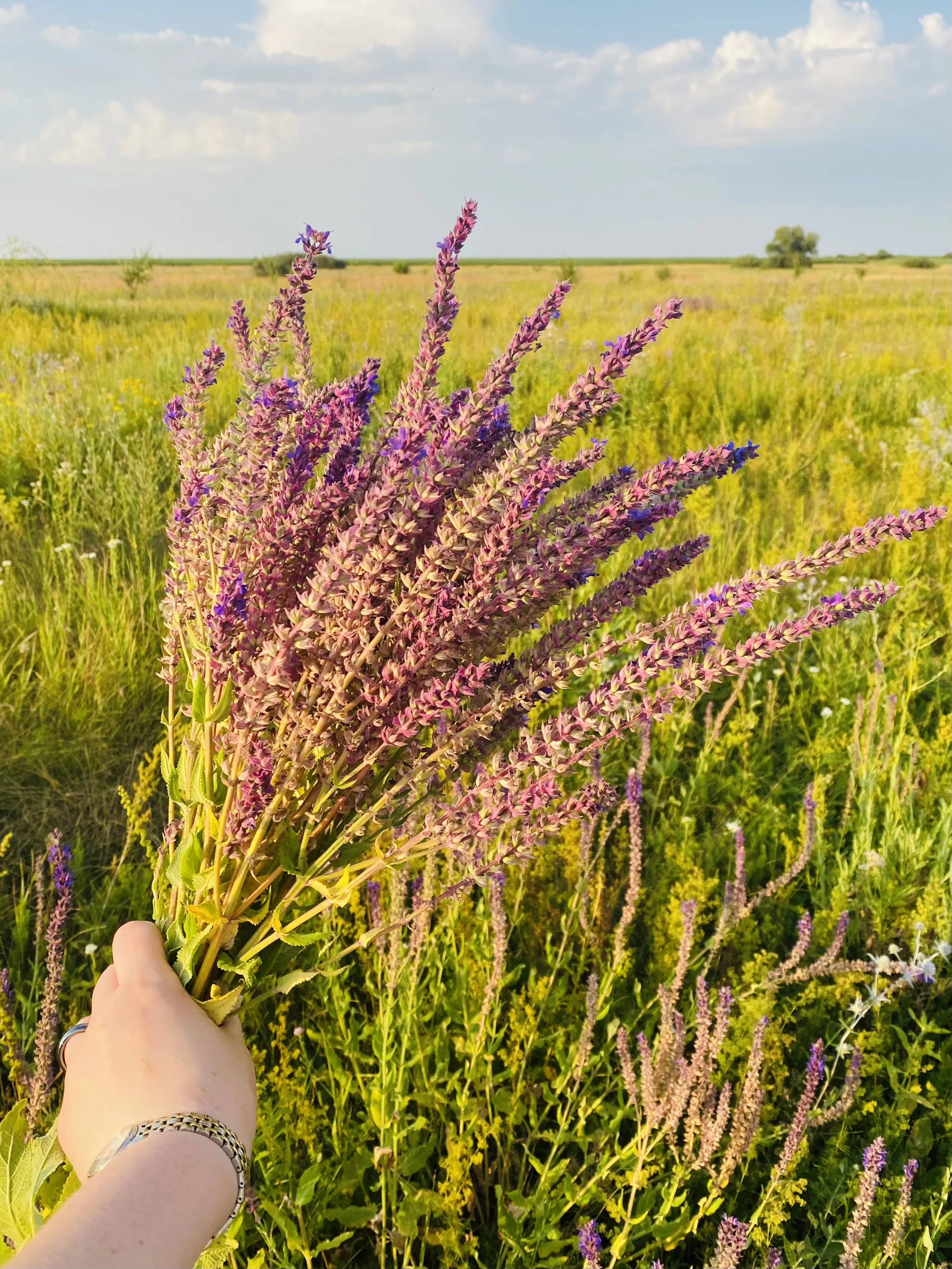 Чтобы помнить запах лета