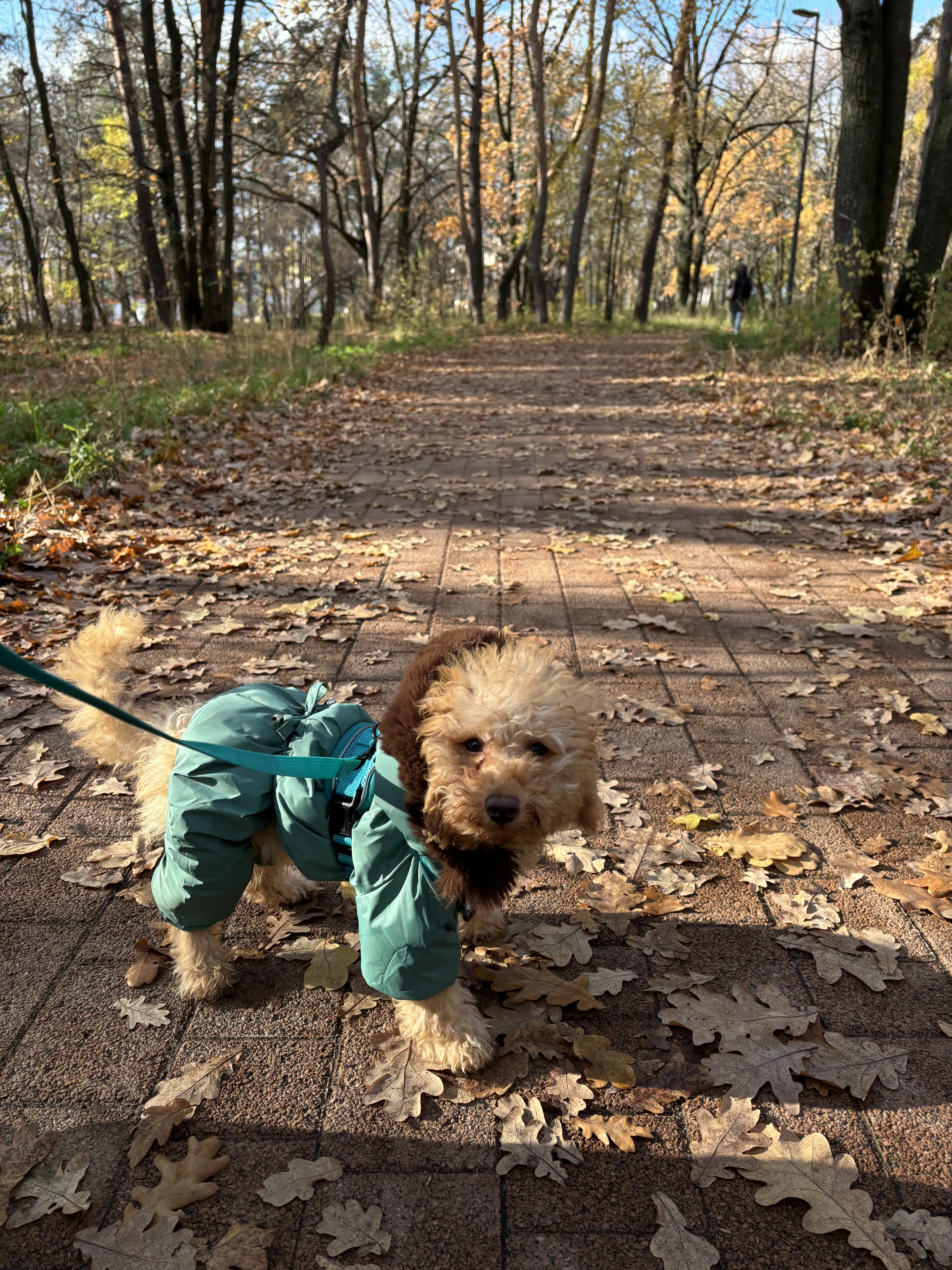 Краски октября