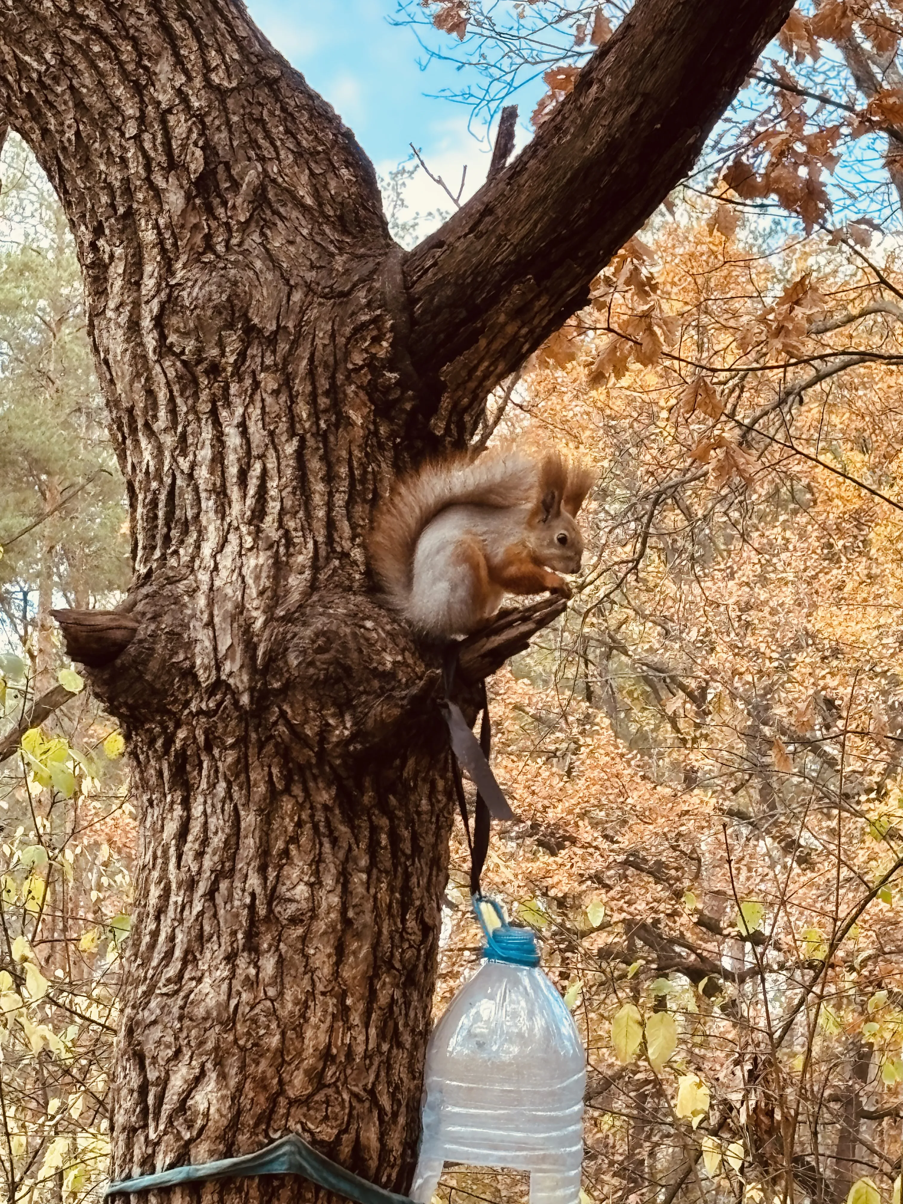 Краски октября