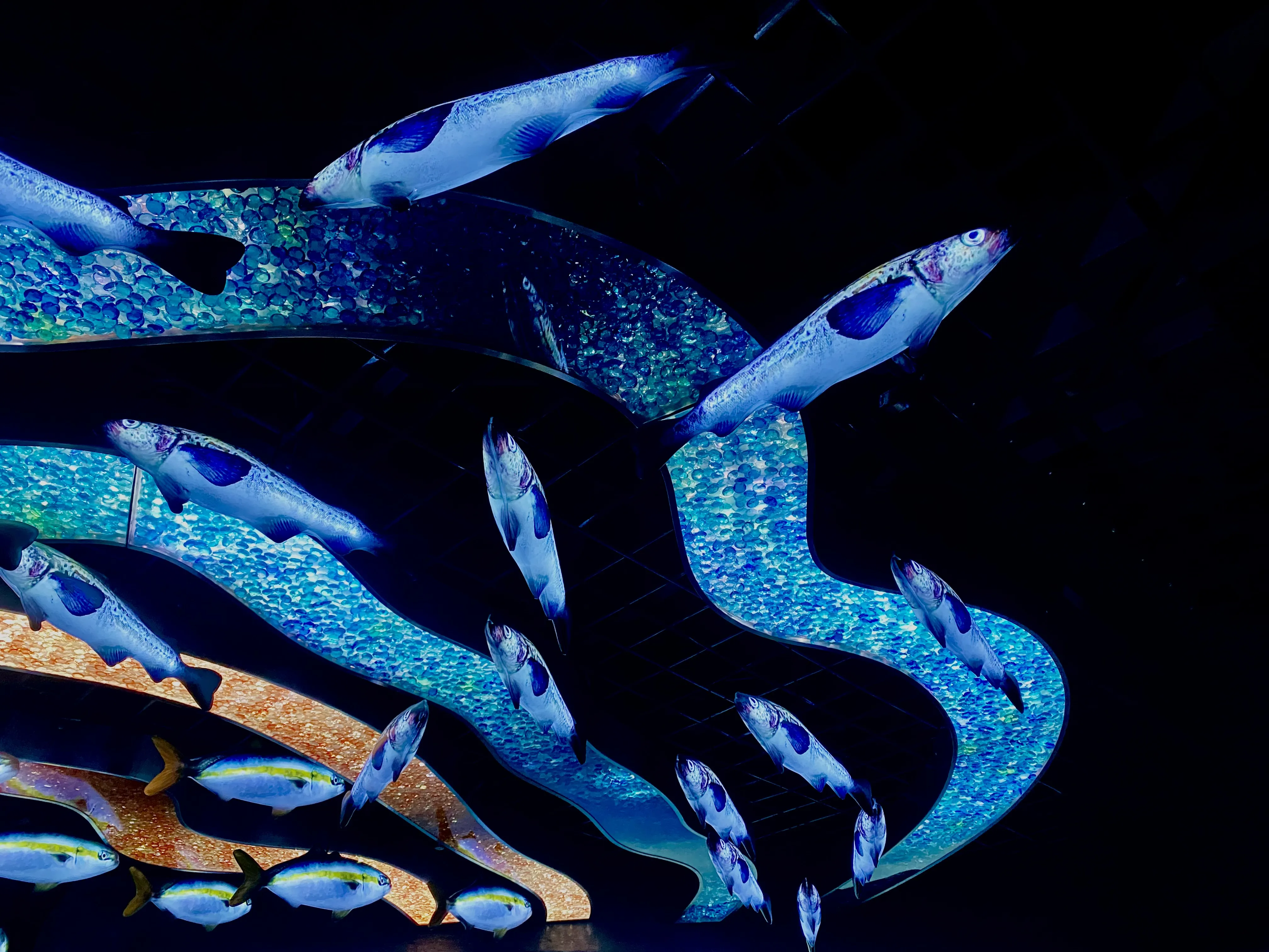 Подводный мир