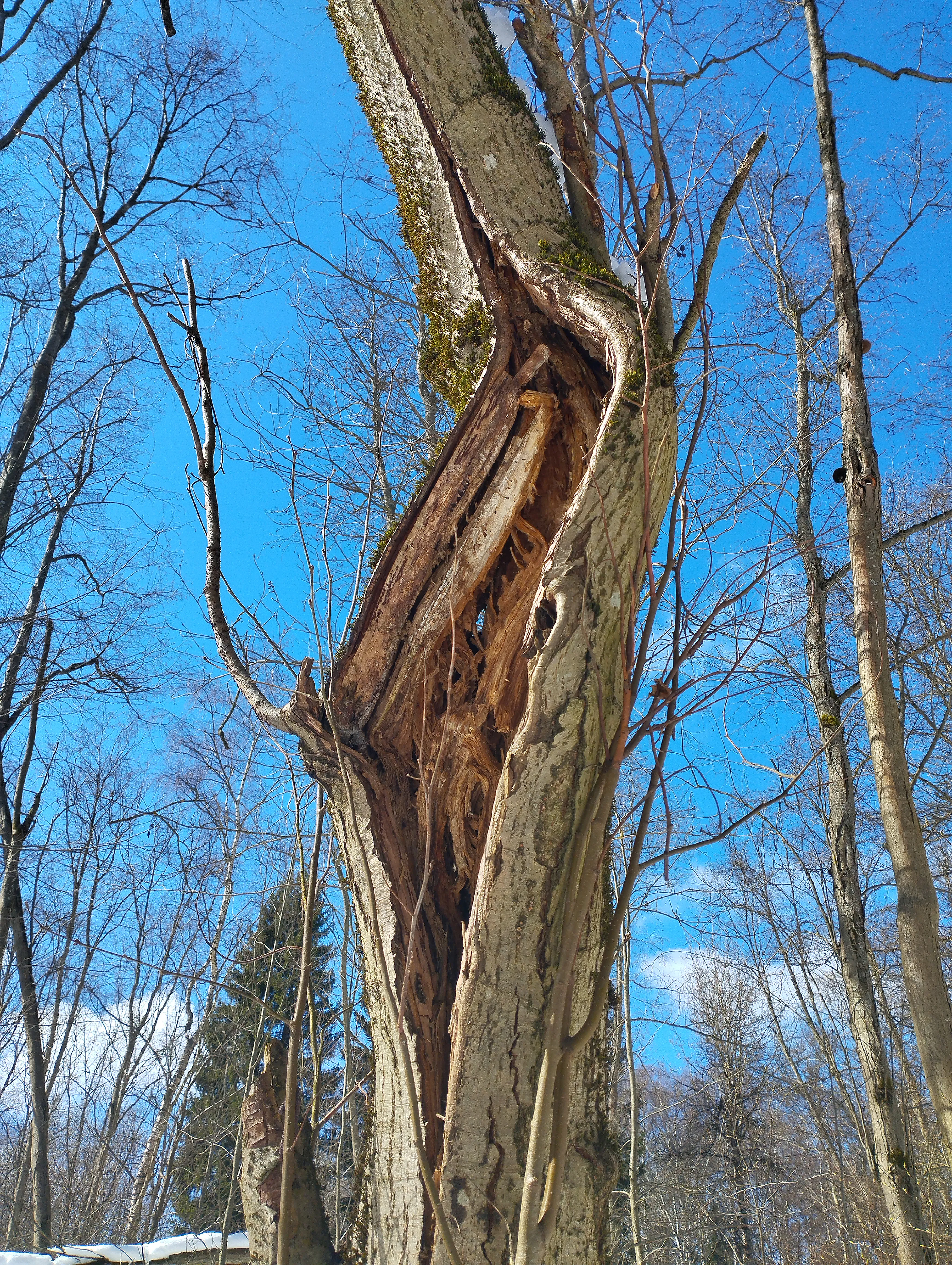 Несломленный