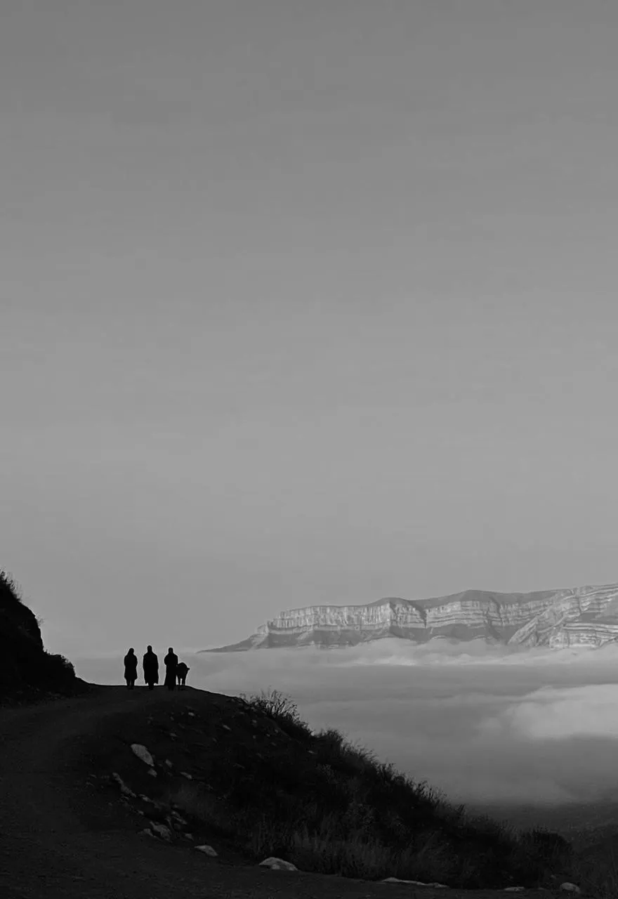 Три женщины и теленок