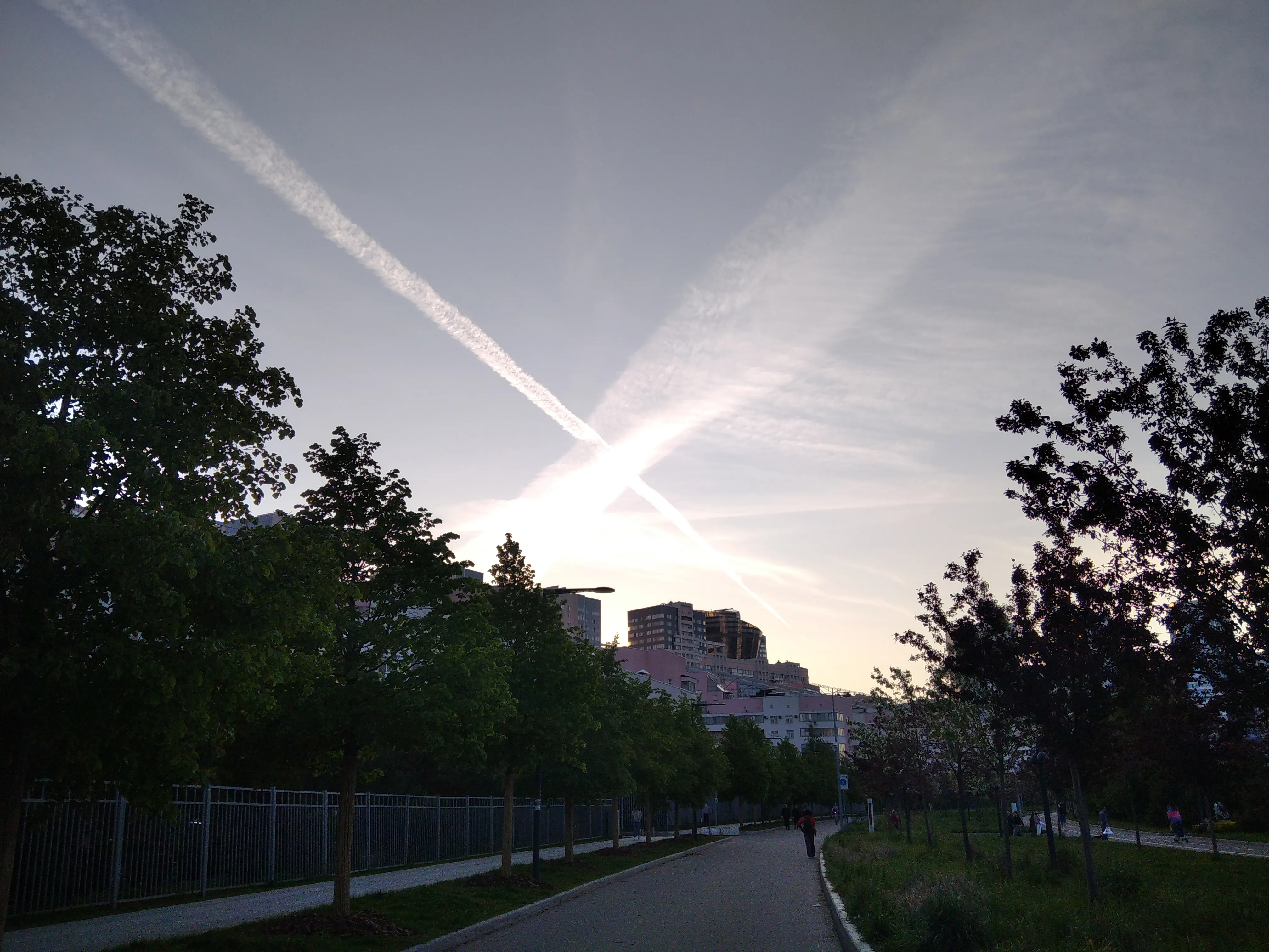 Птица счастья