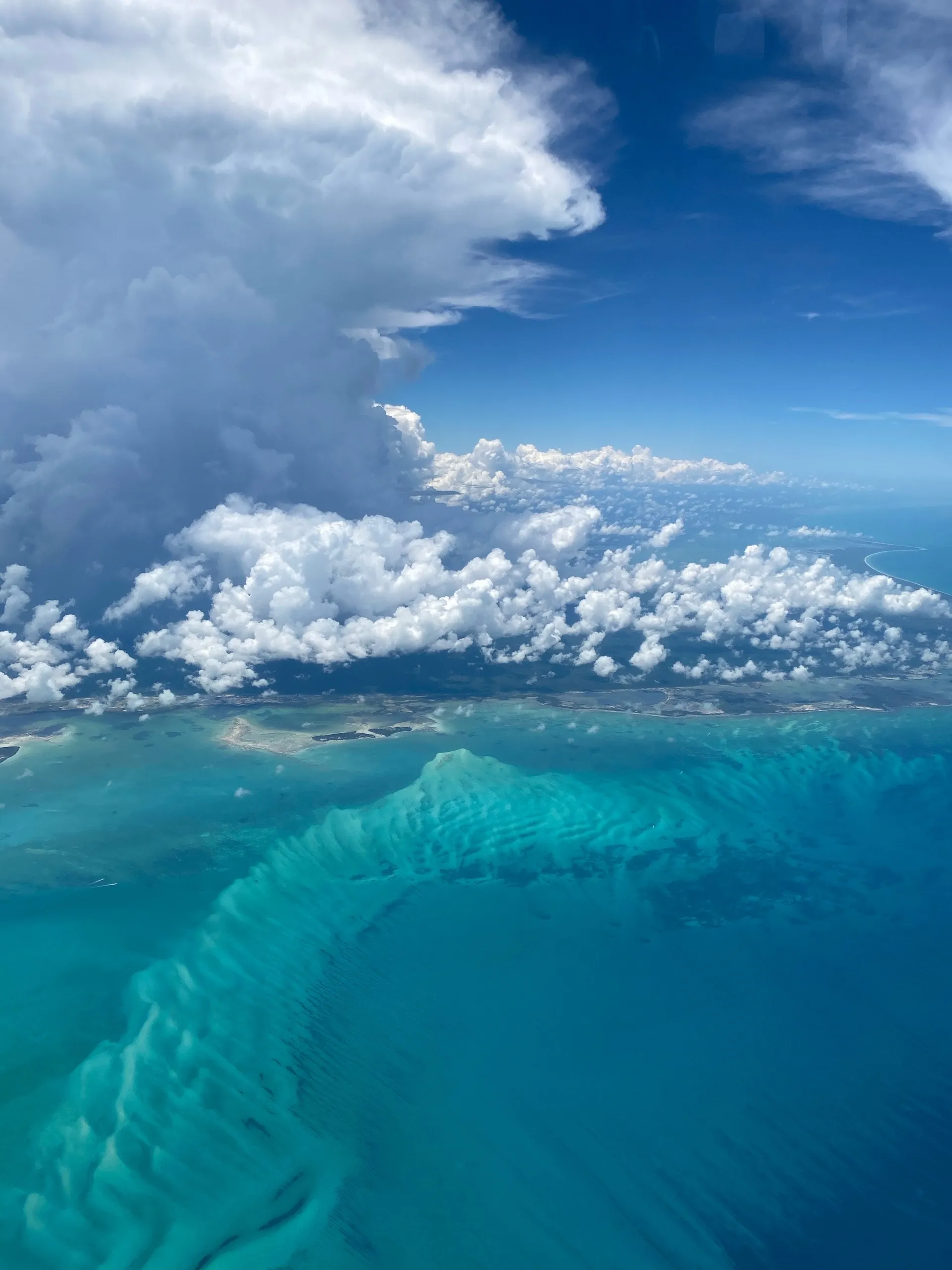 Как птица в небе