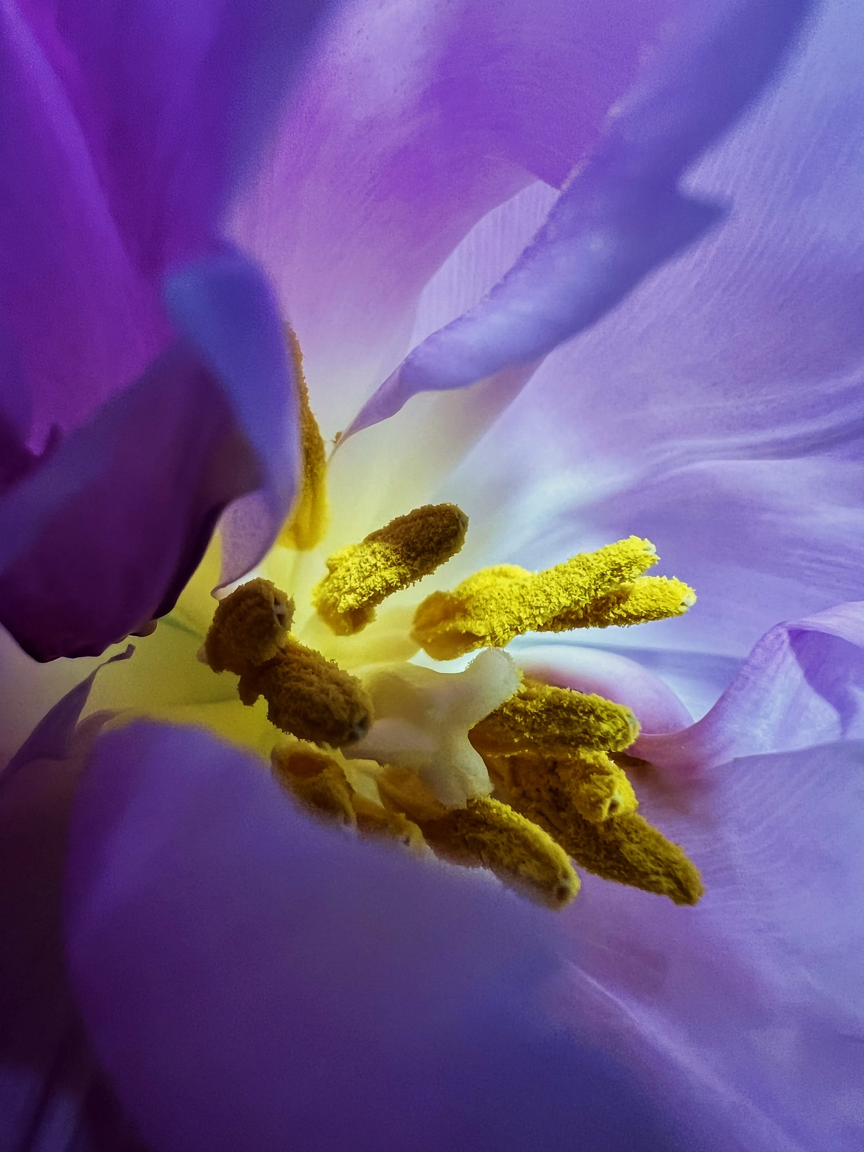 Природа и цвет