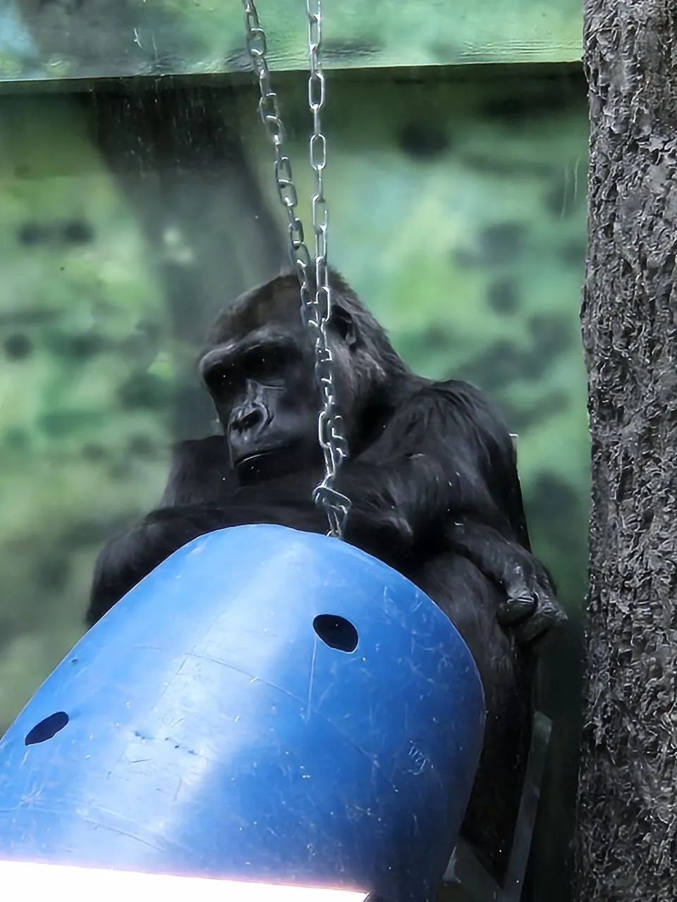 Как же вы все достали...