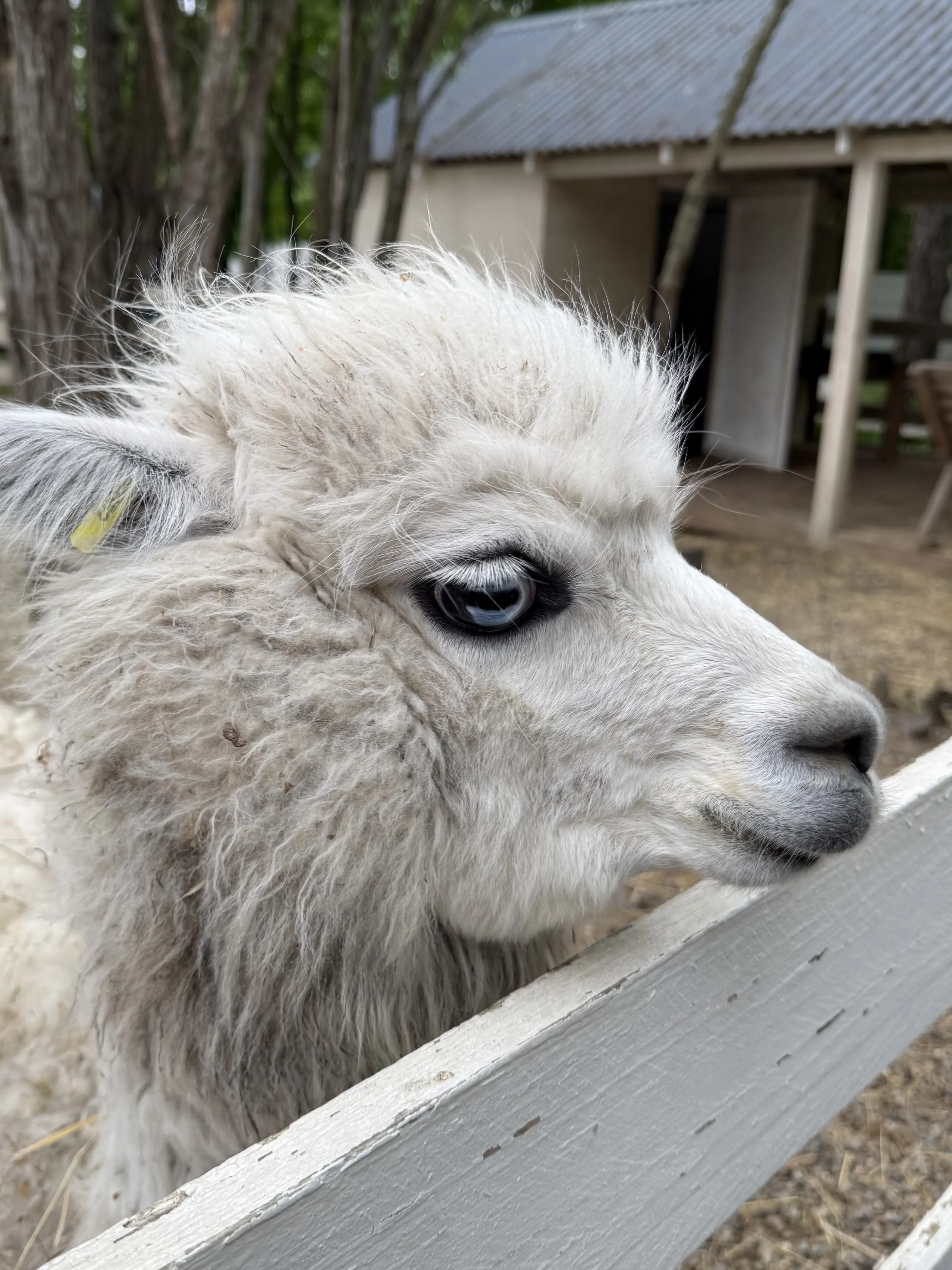 Глаза - зеркало души!