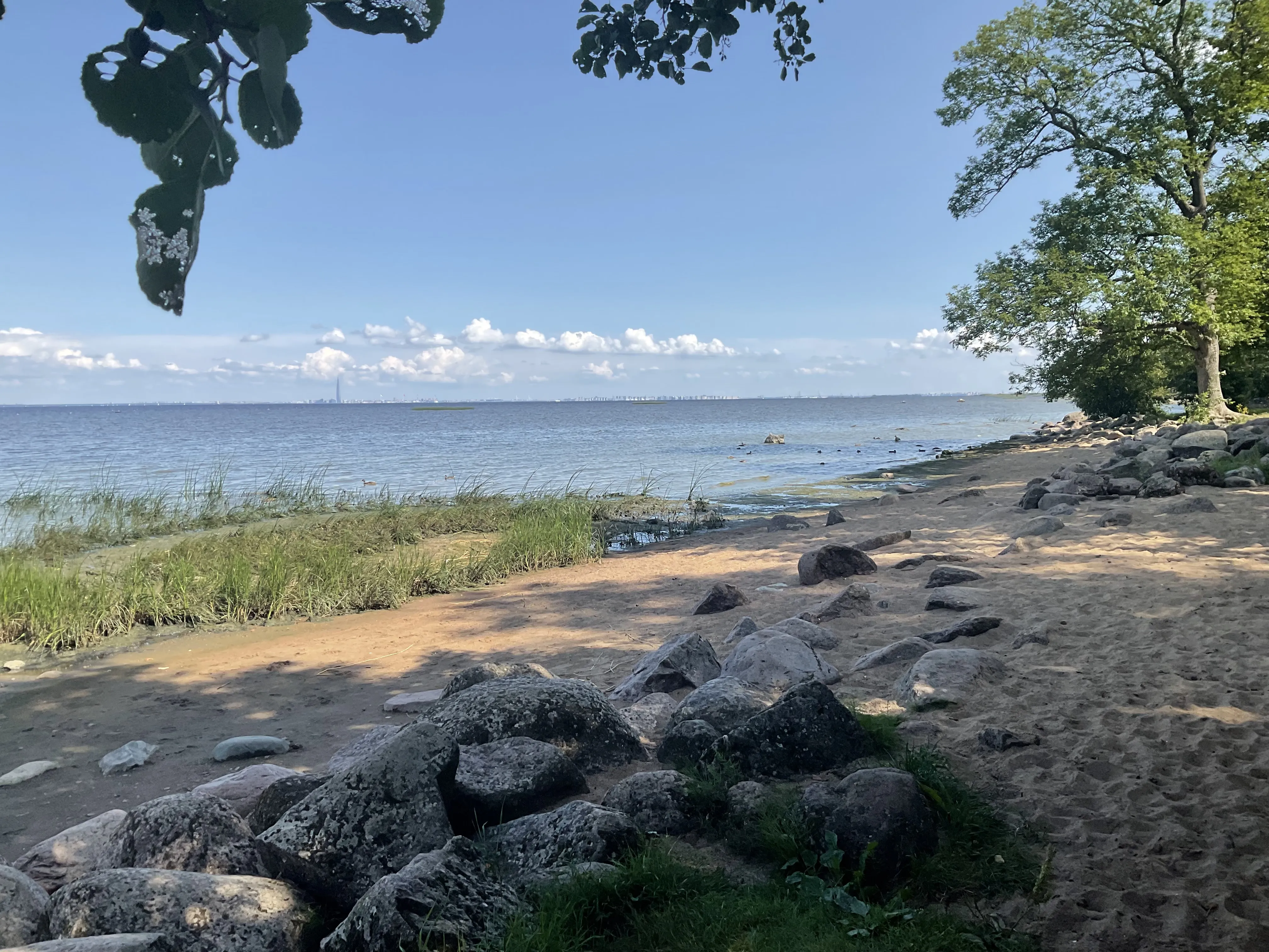 Финский залив