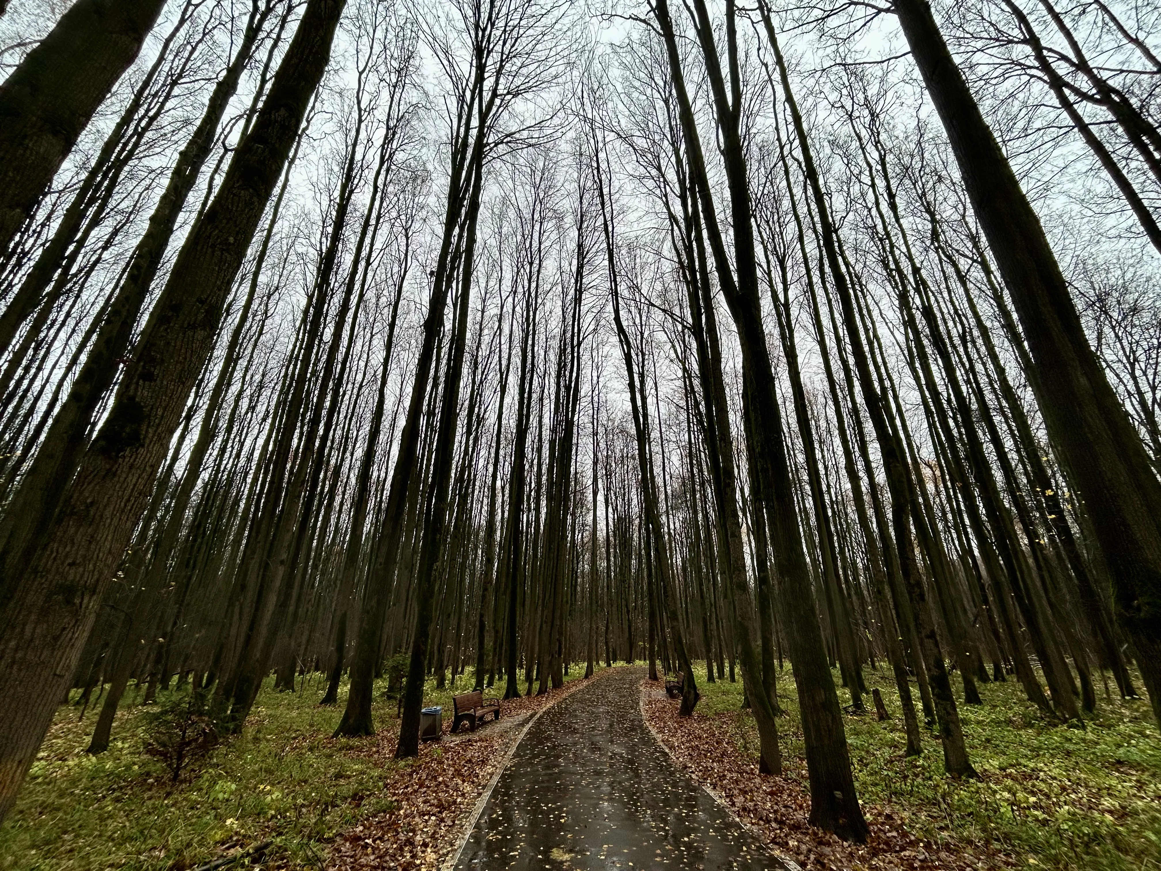 Битцевский парк_осень