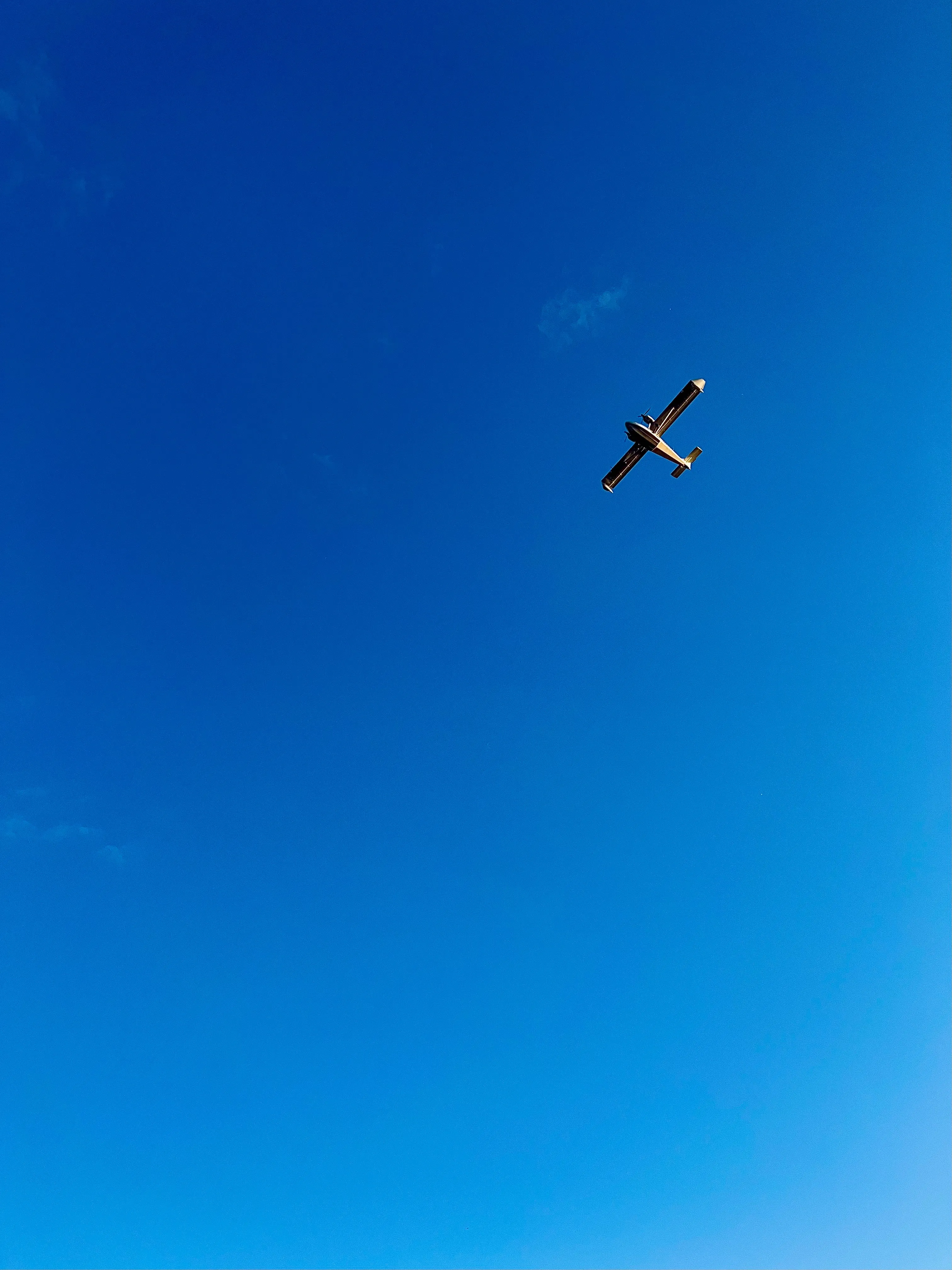 «Выше голову»