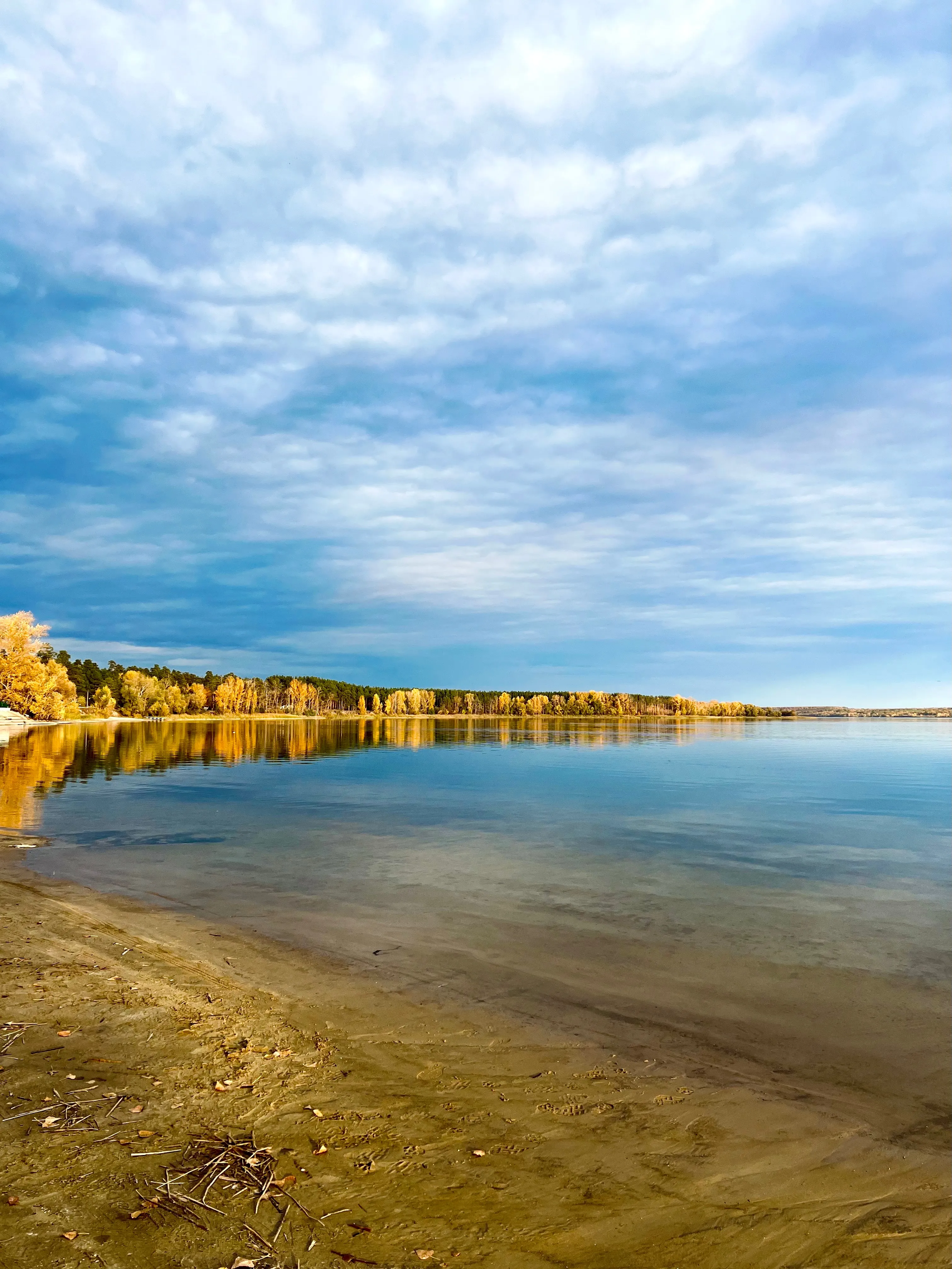 «Время года»