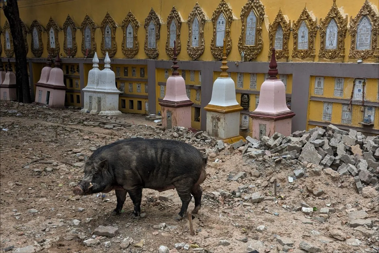 Кладбище храма Лакси