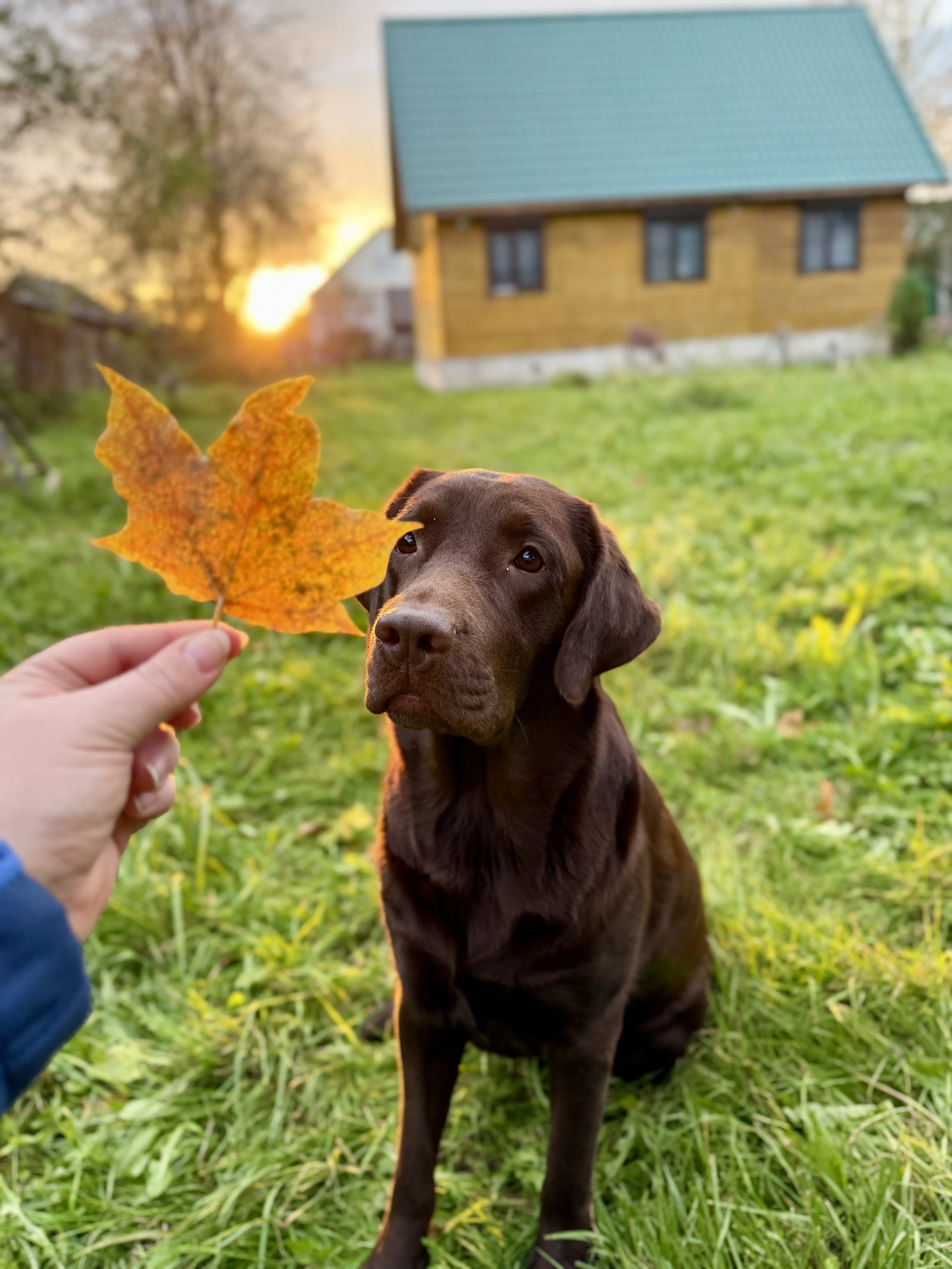 Начало осени