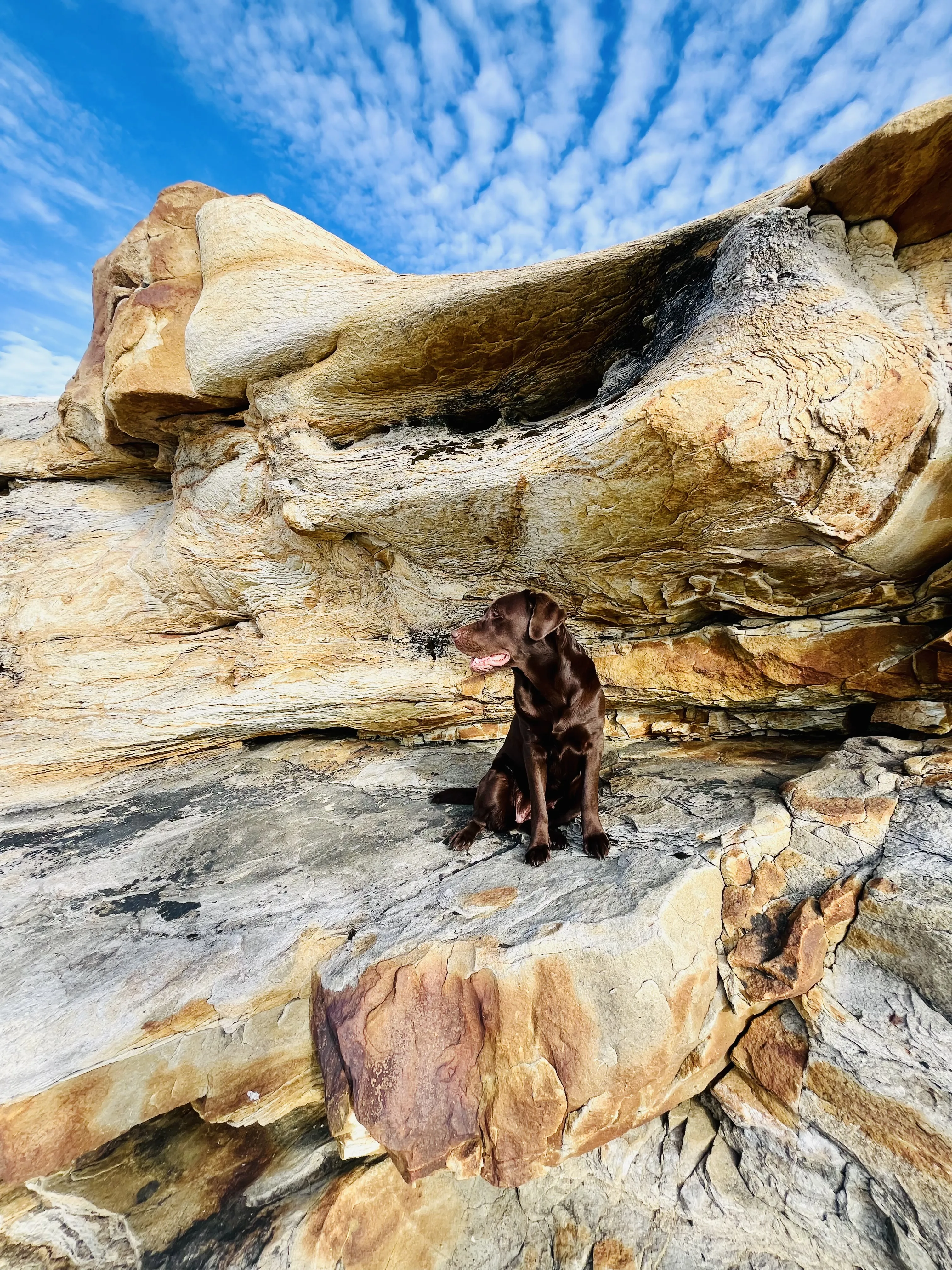 Собака, небо, скалы